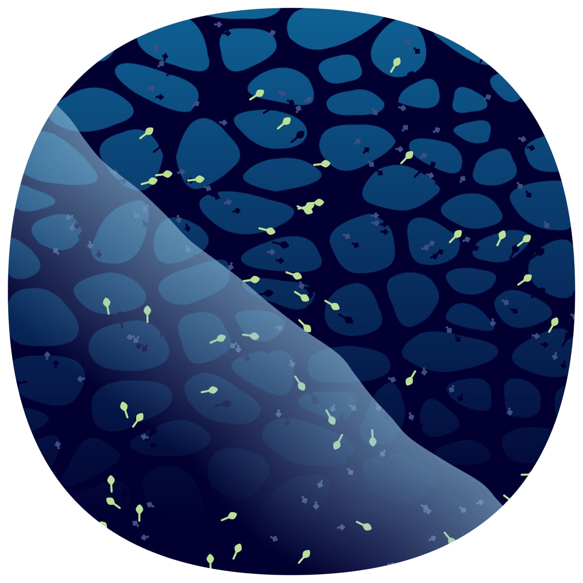video placeholder image