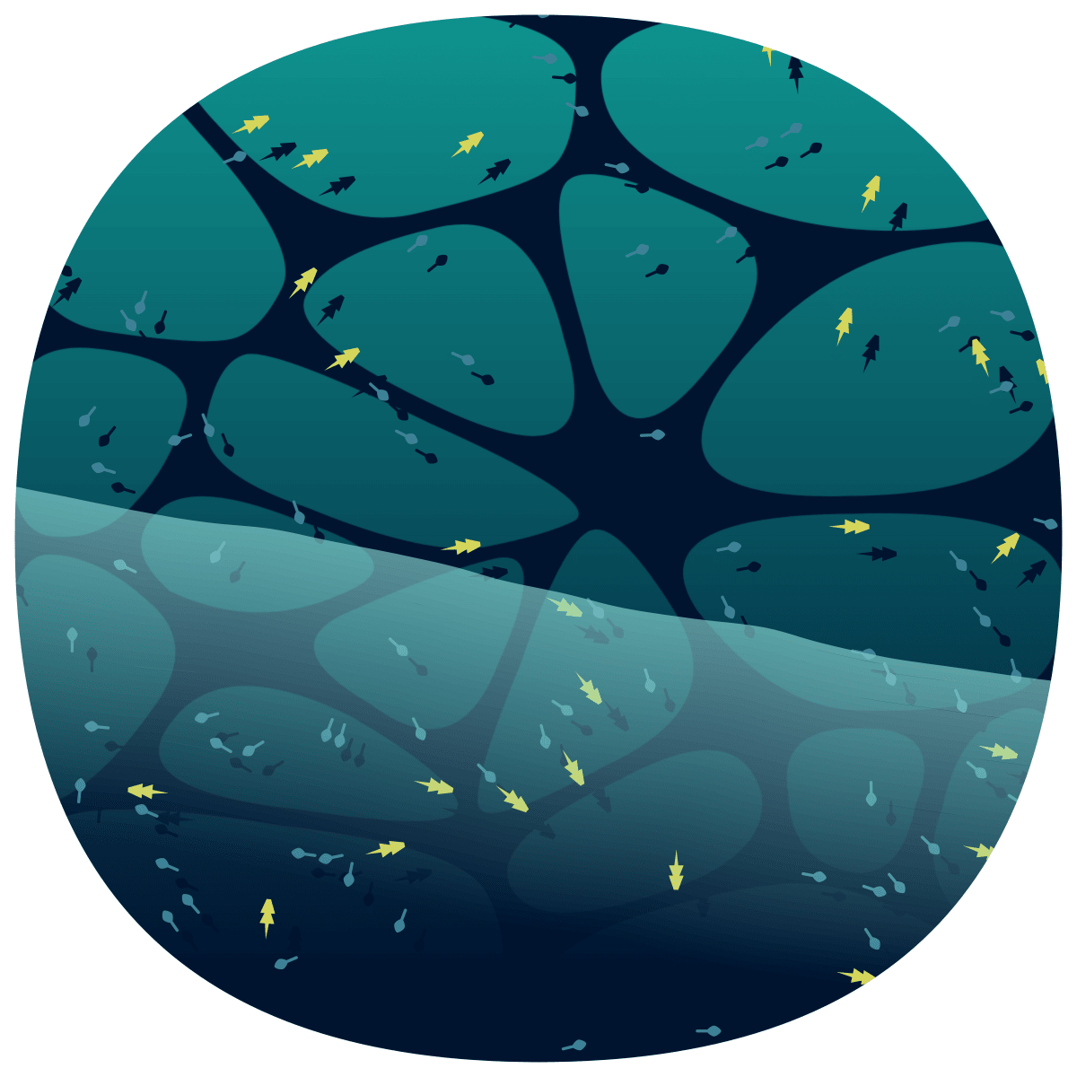 video placeholder image