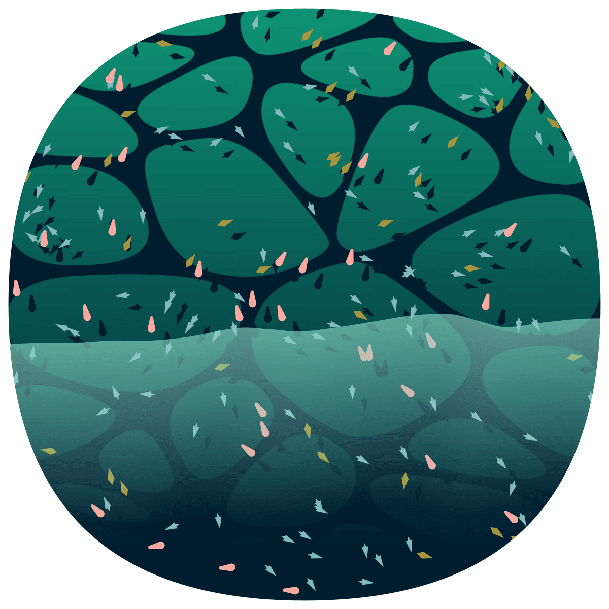 video placeholder image