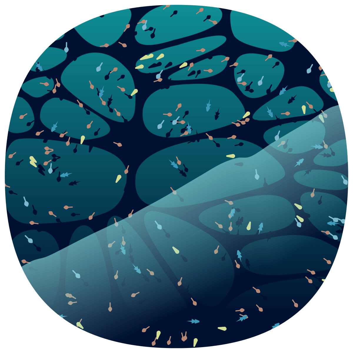 video placeholder image