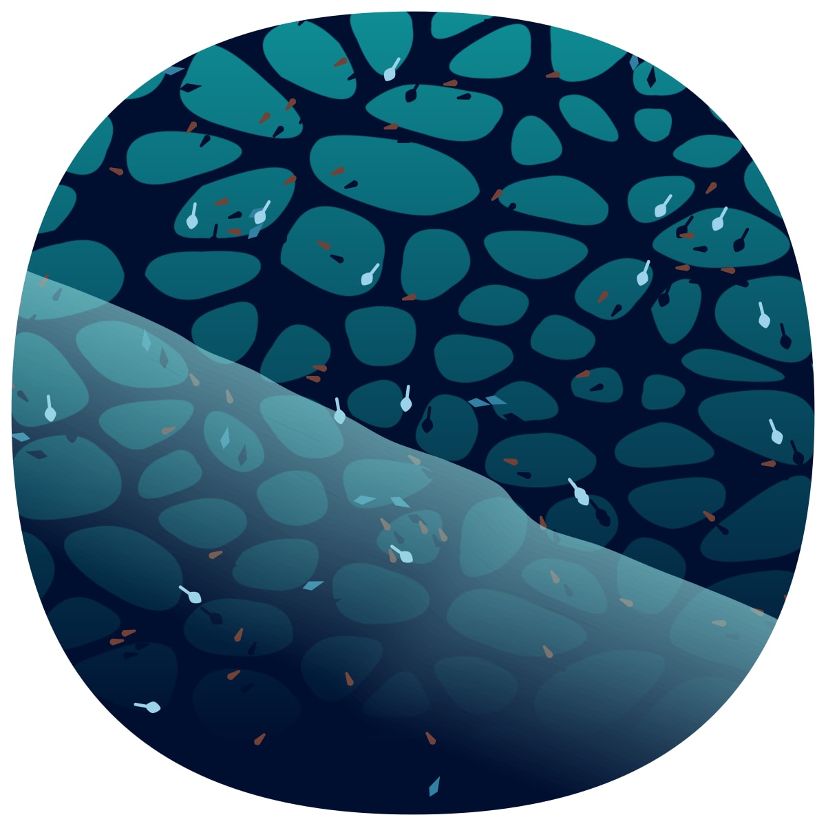 video placeholder image