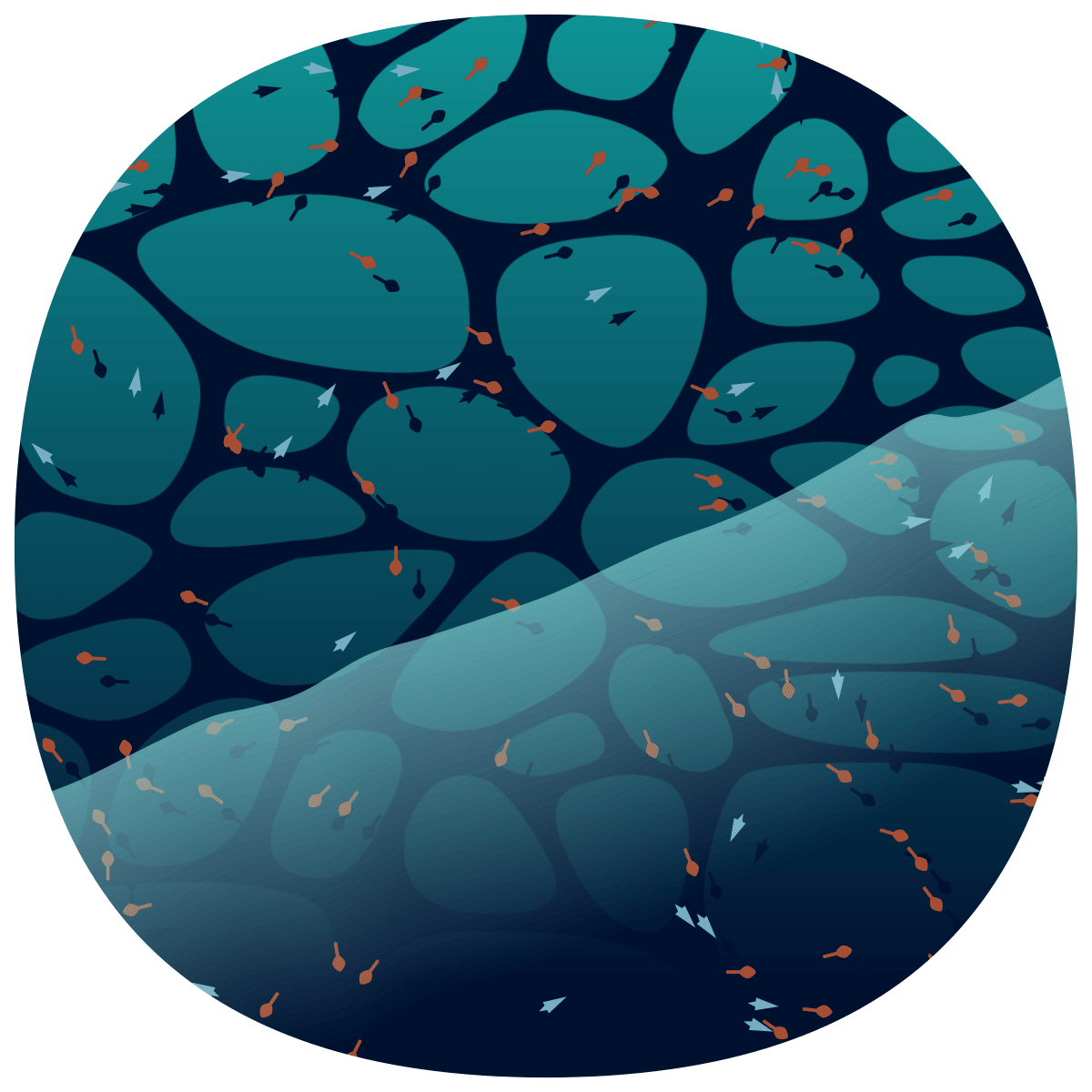 video placeholder image
