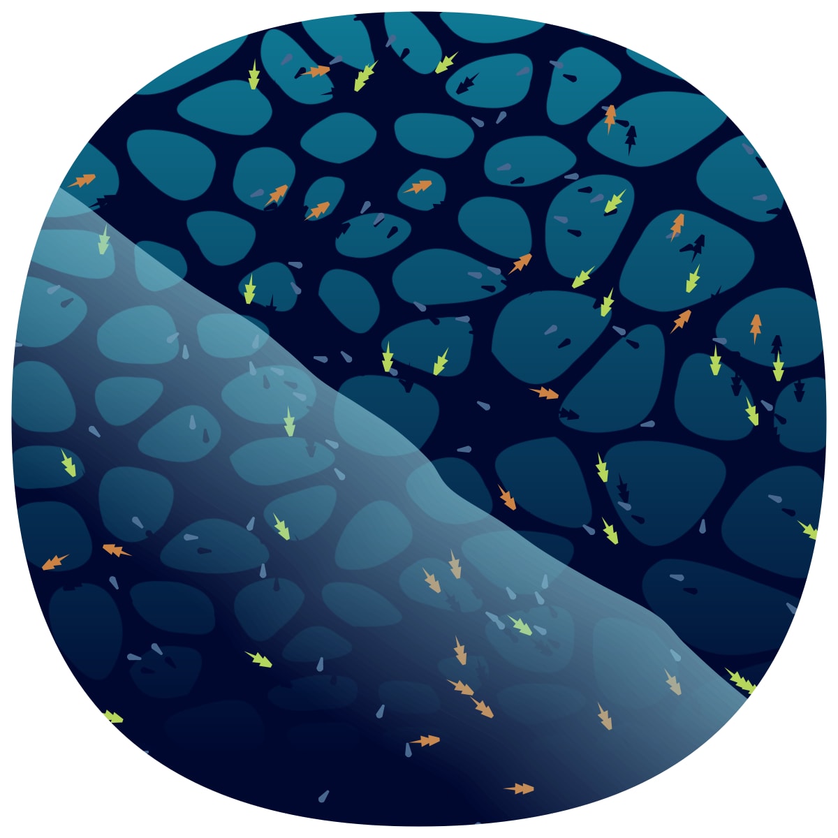 video placeholder image