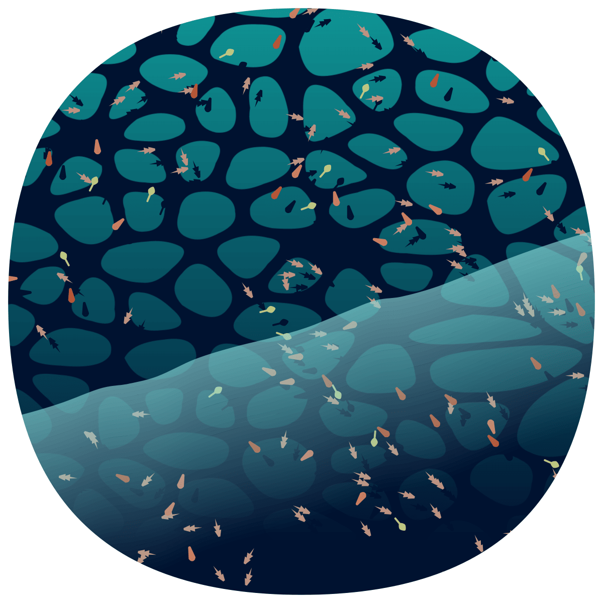 video placeholder image