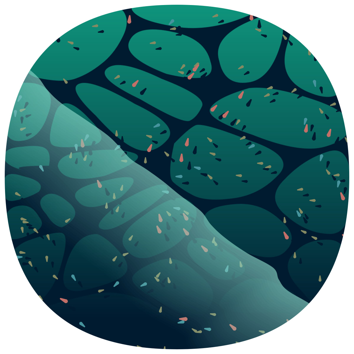 video placeholder image