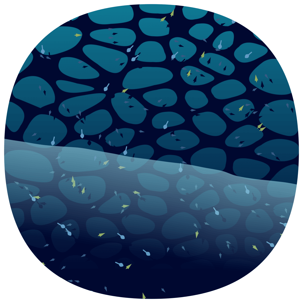 video placeholder image