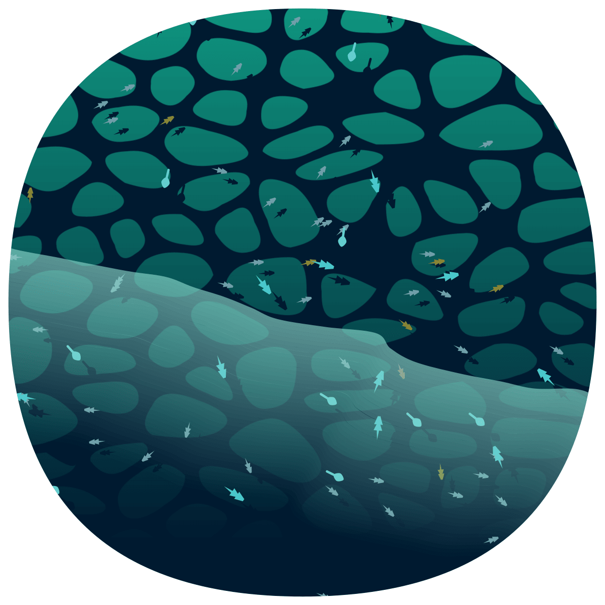 video placeholder image