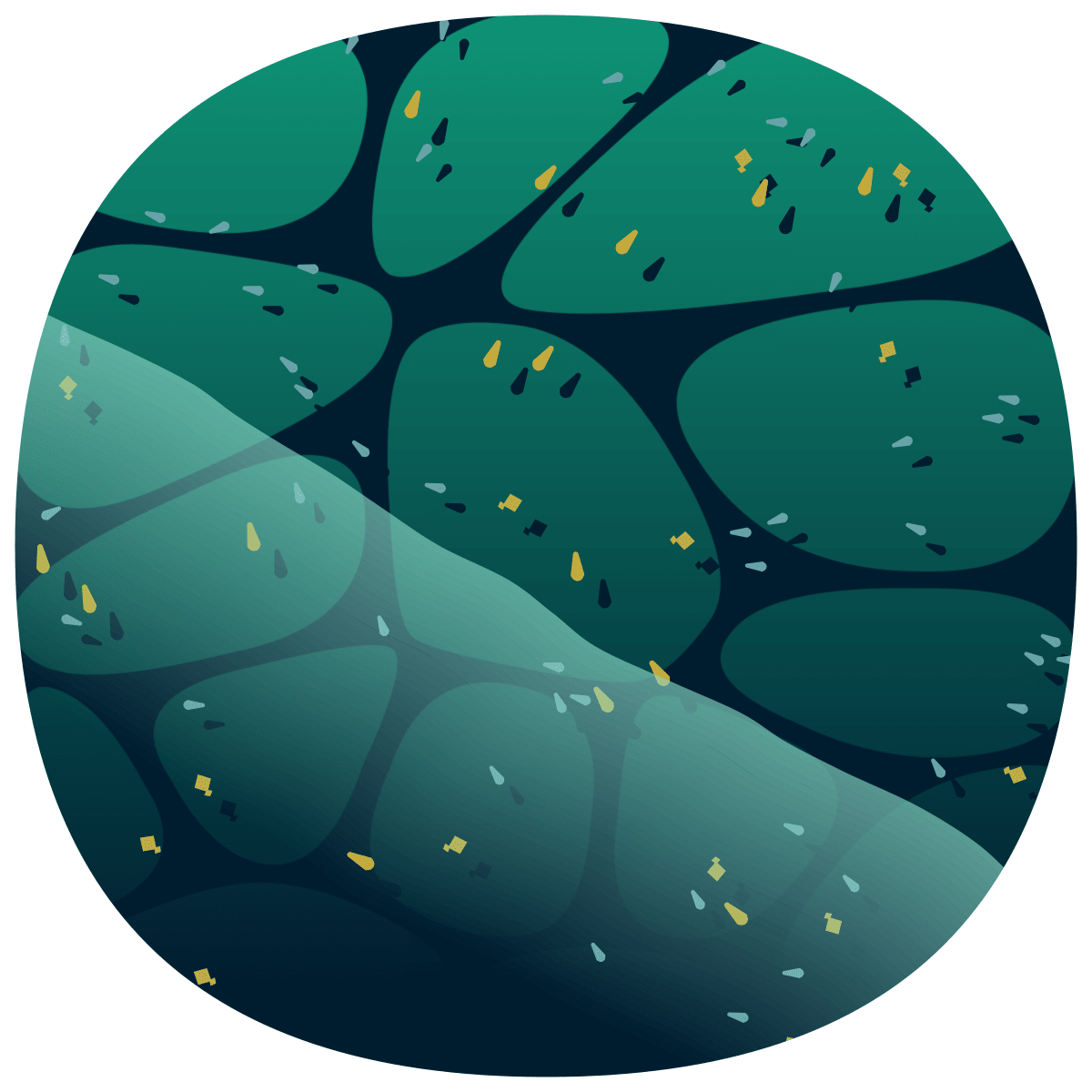 video placeholder image