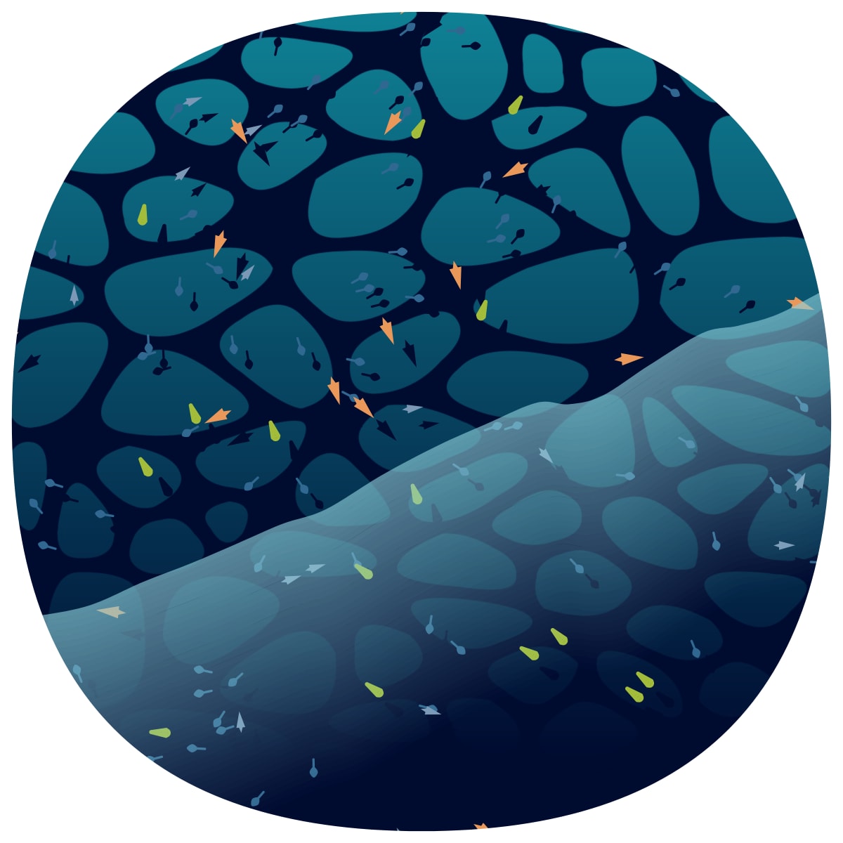 video placeholder image