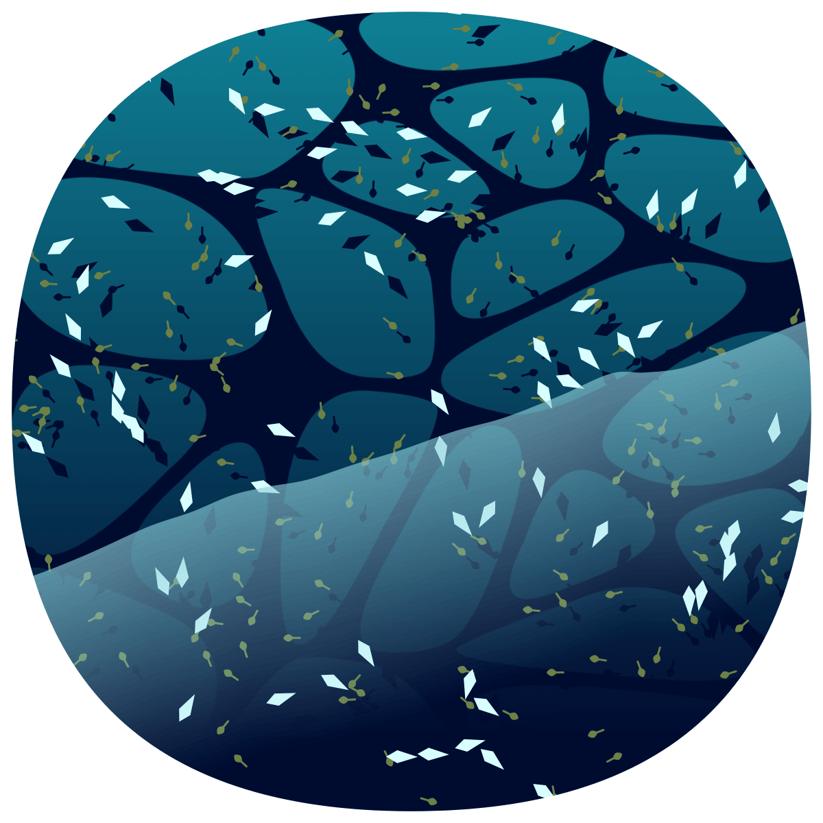 video placeholder image