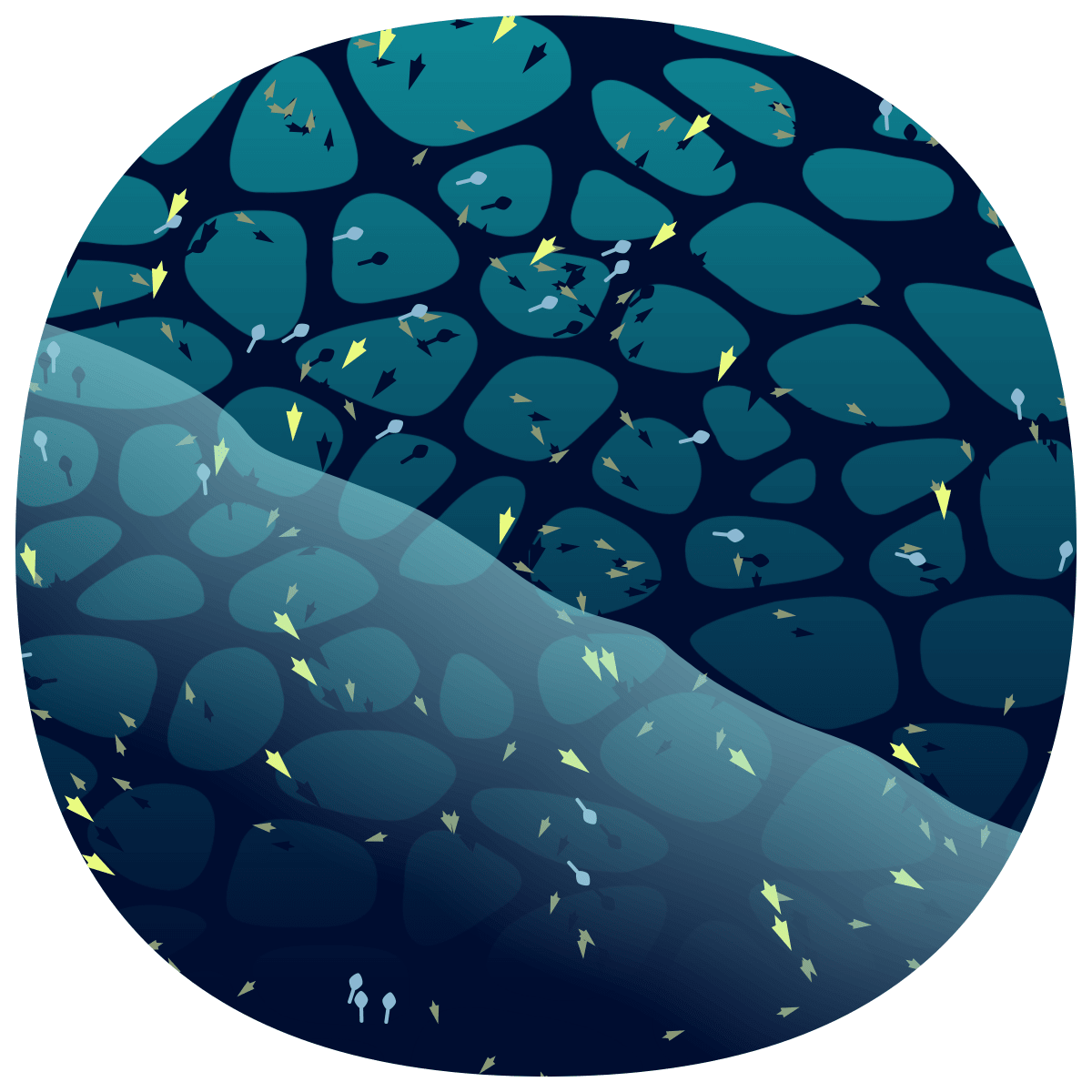 video placeholder image