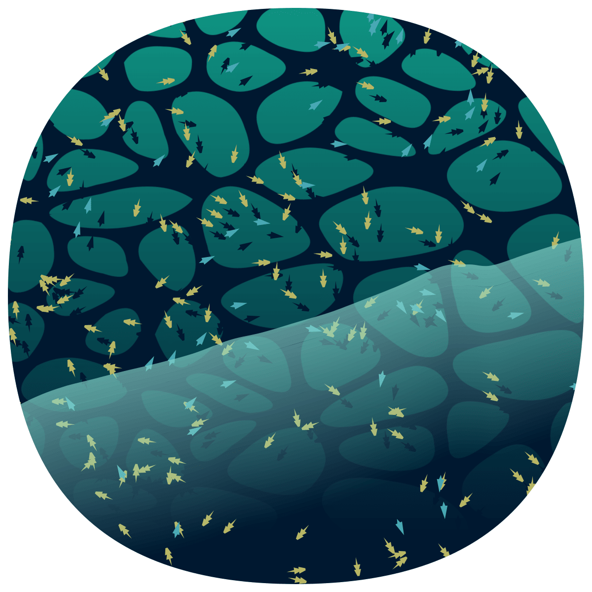 video placeholder image