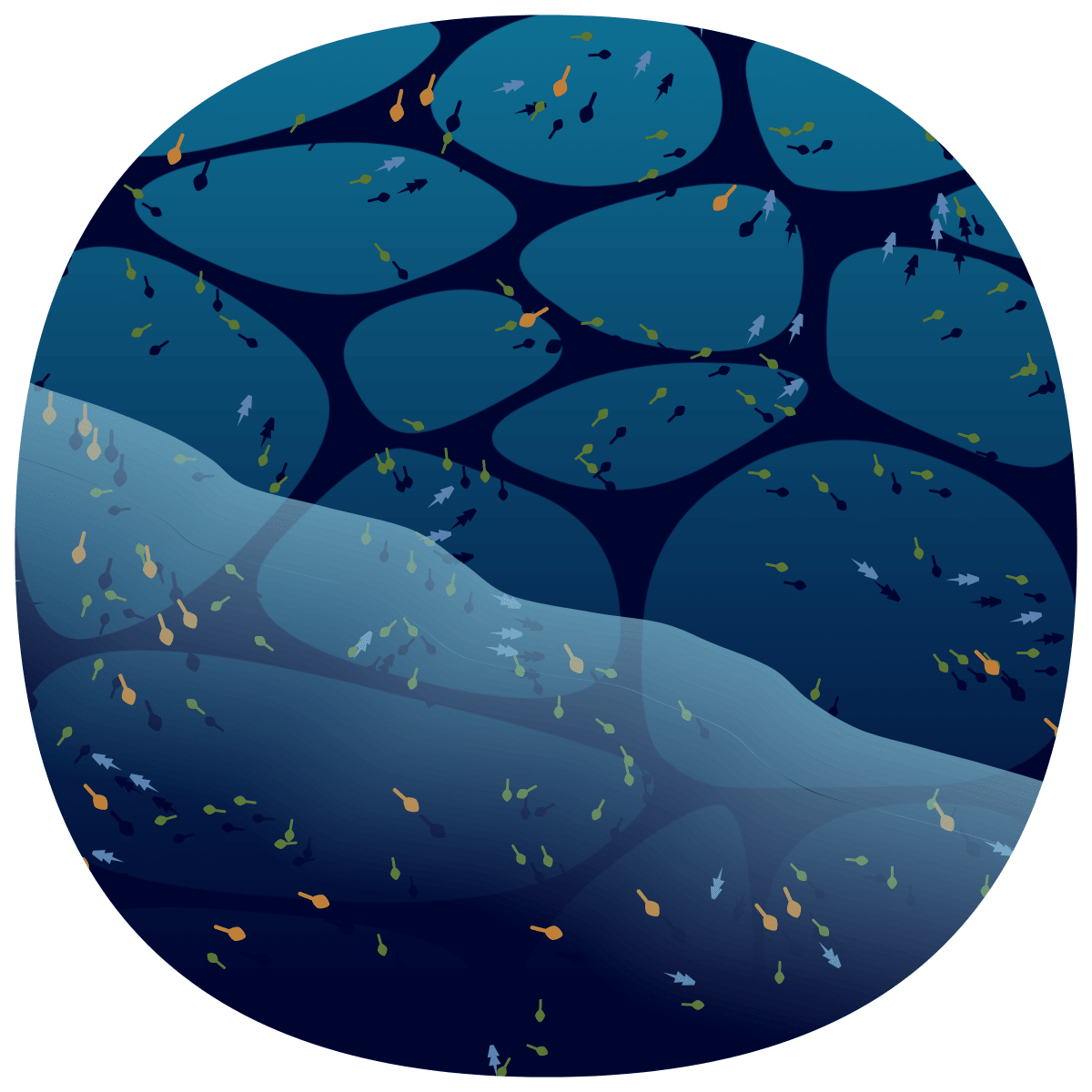 video placeholder image