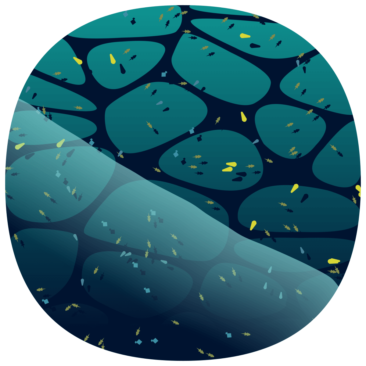 video placeholder image