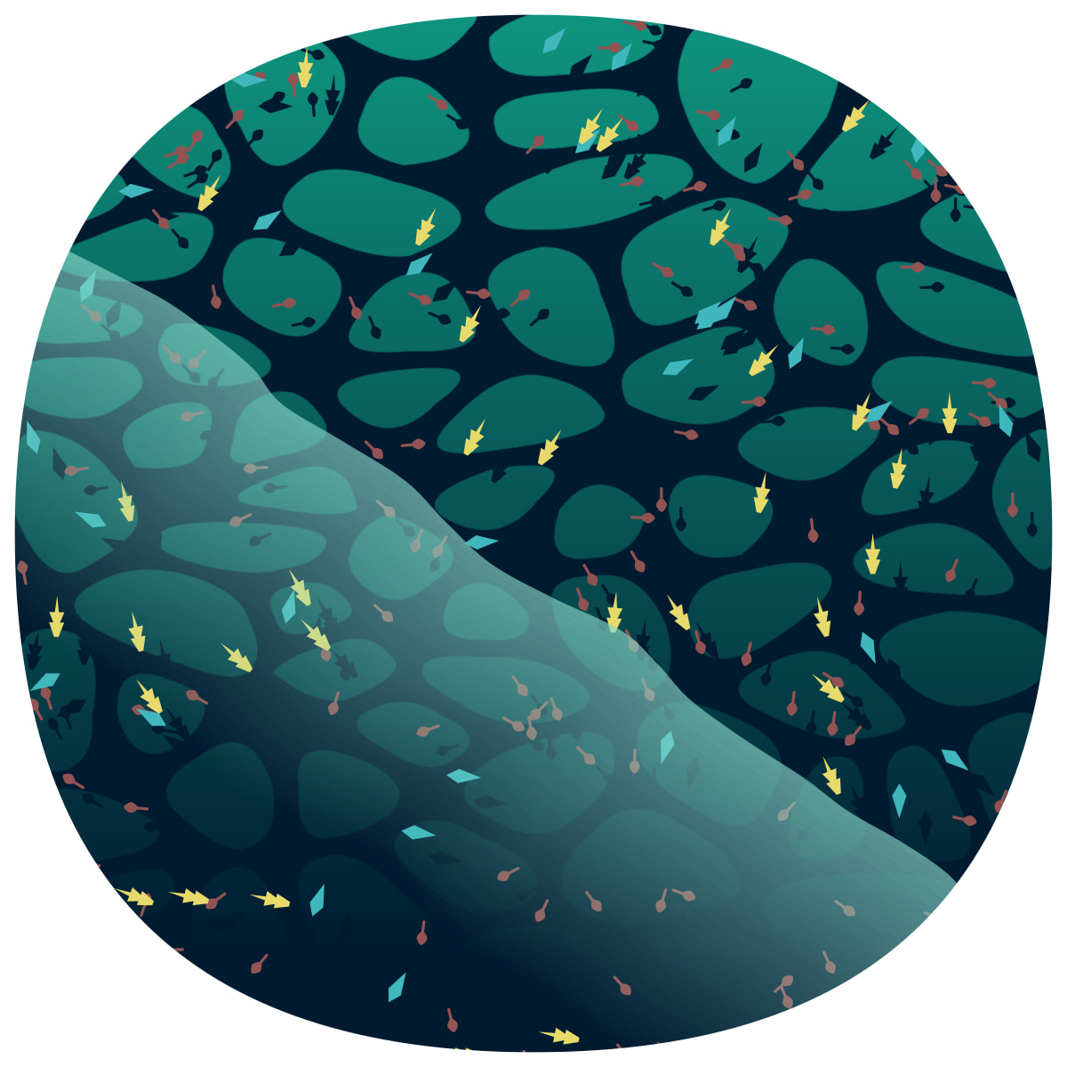 video placeholder image