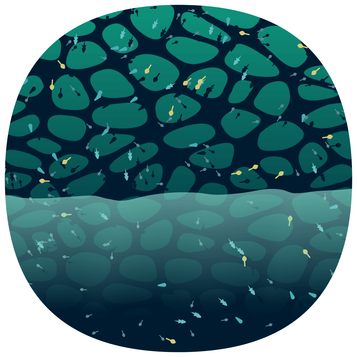 video placeholder image