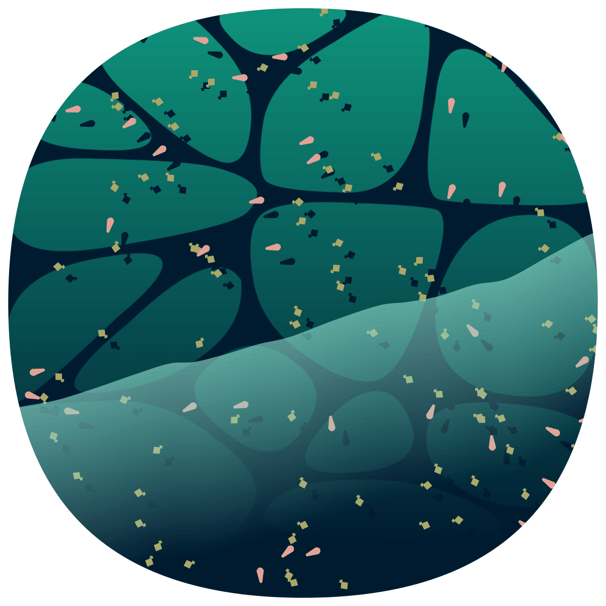 video placeholder image