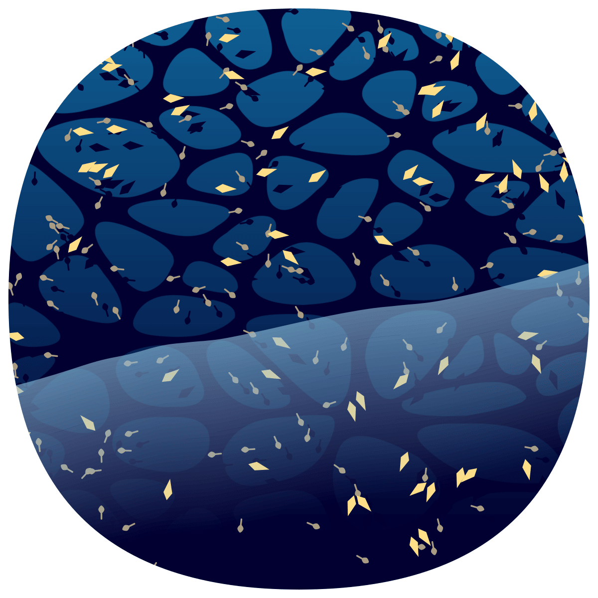 video placeholder image