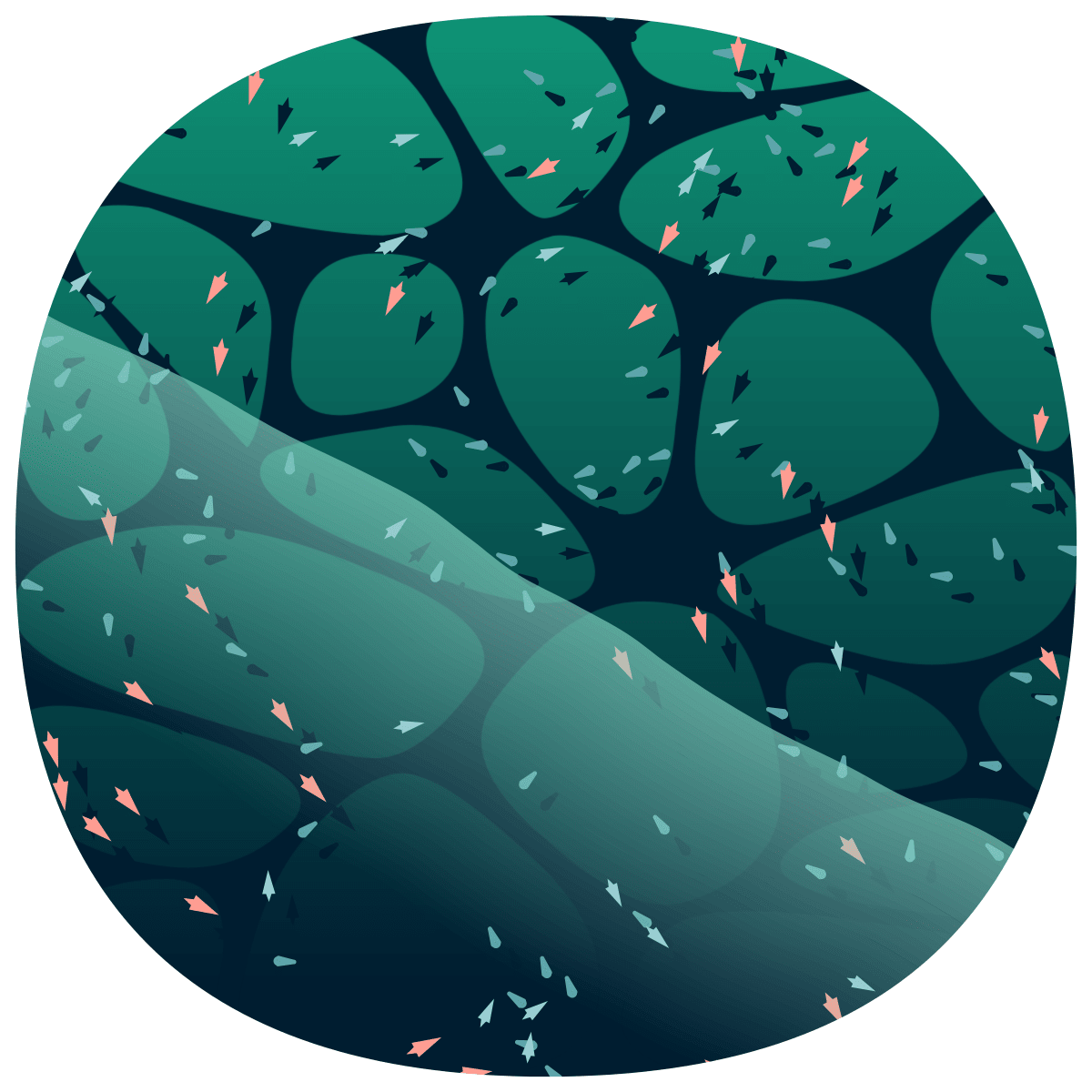 video placeholder image