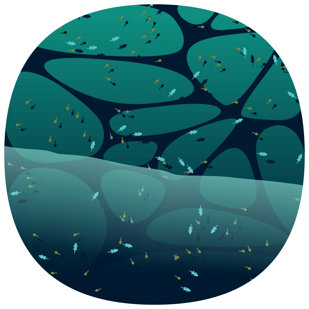 video placeholder image