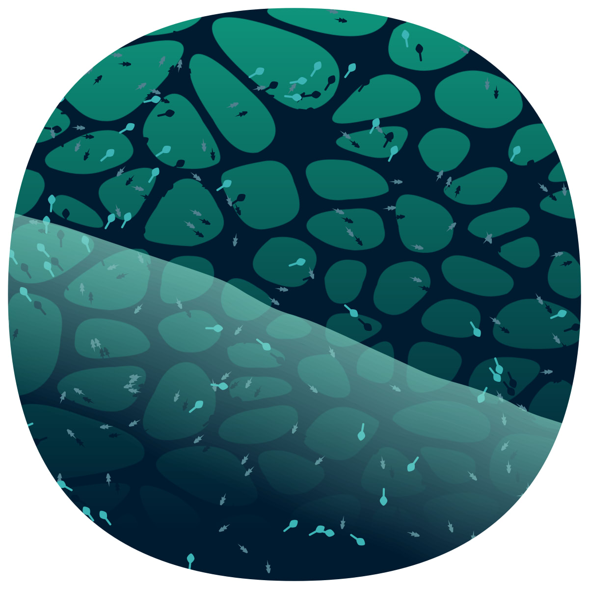 video placeholder image