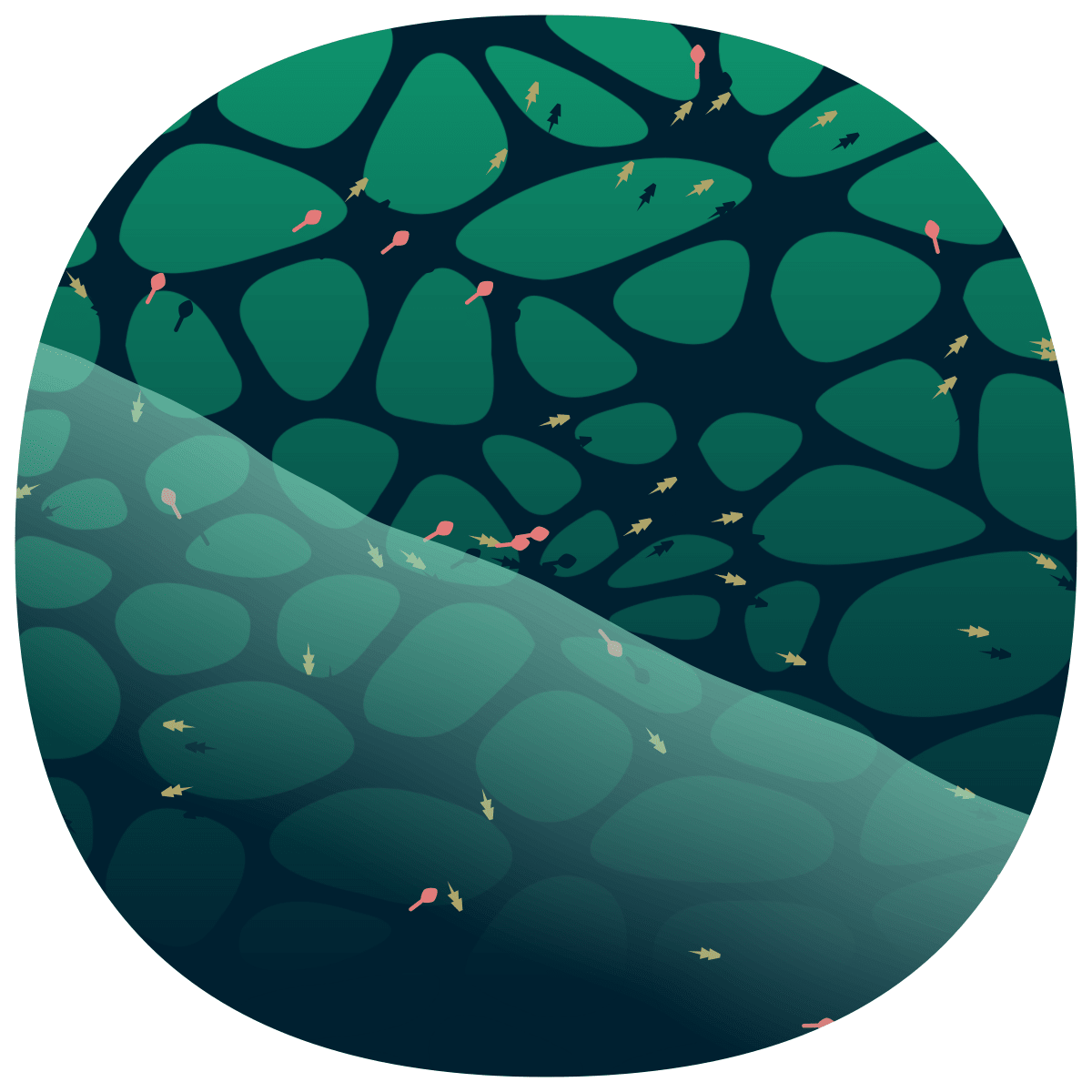 video placeholder image
