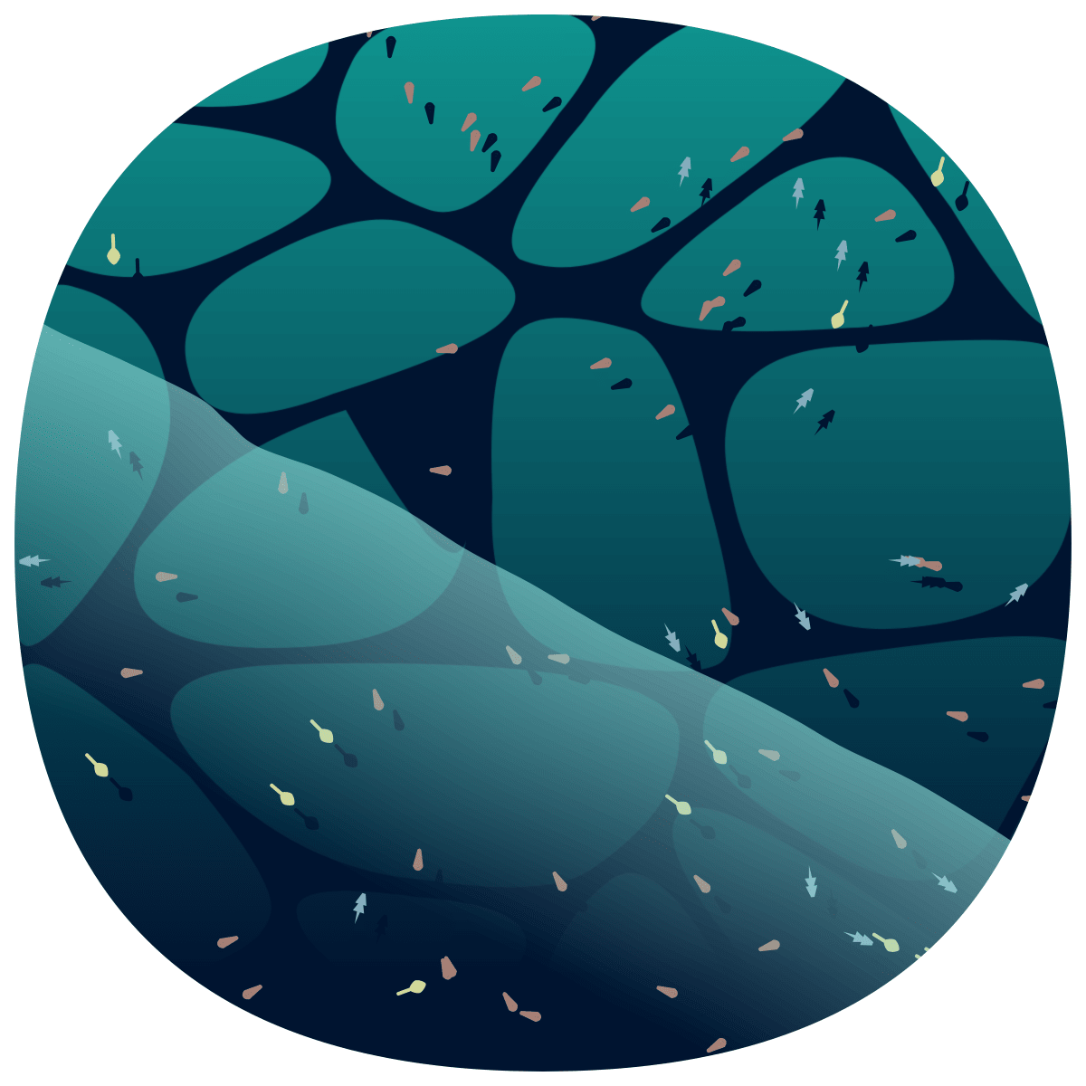 video placeholder image