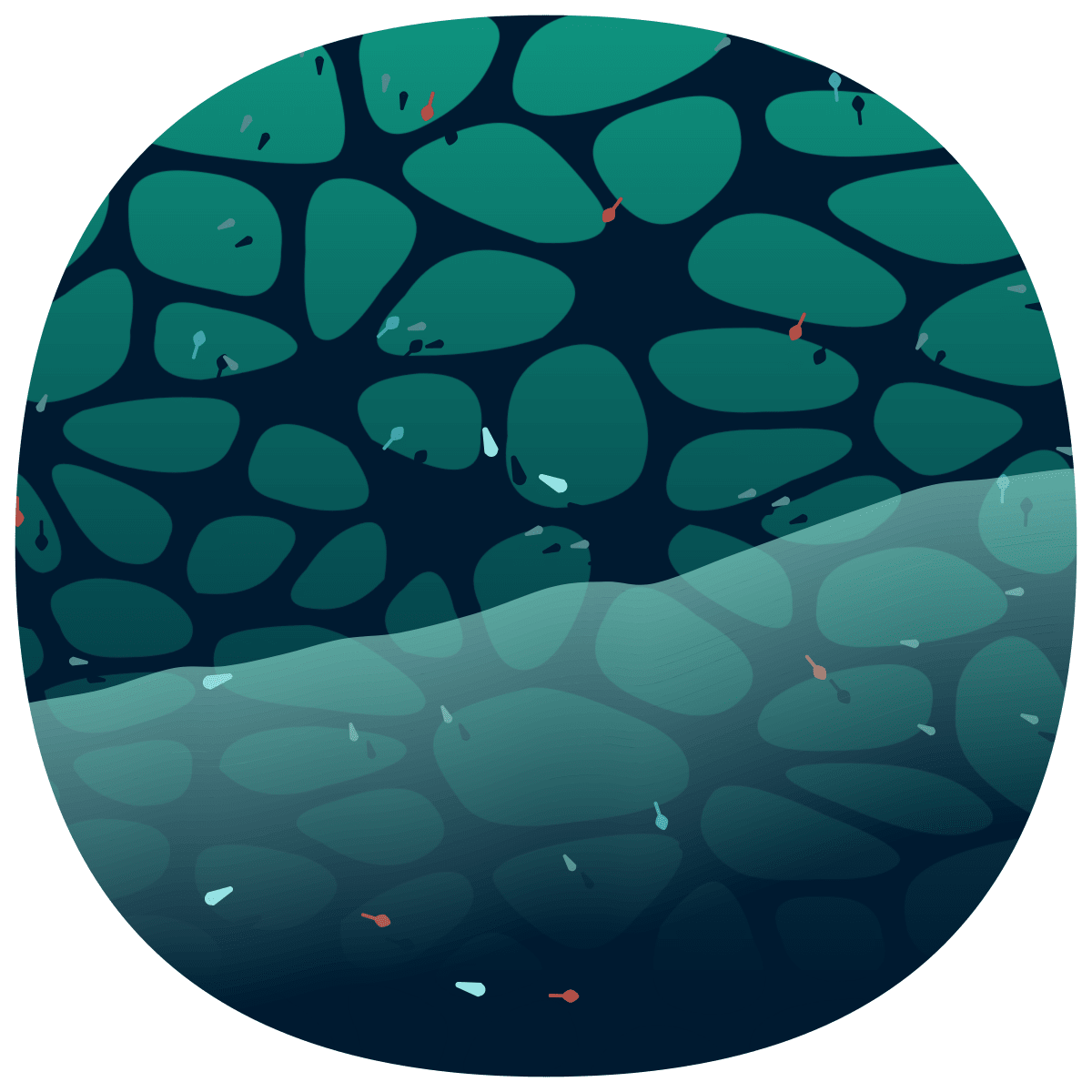 video placeholder image