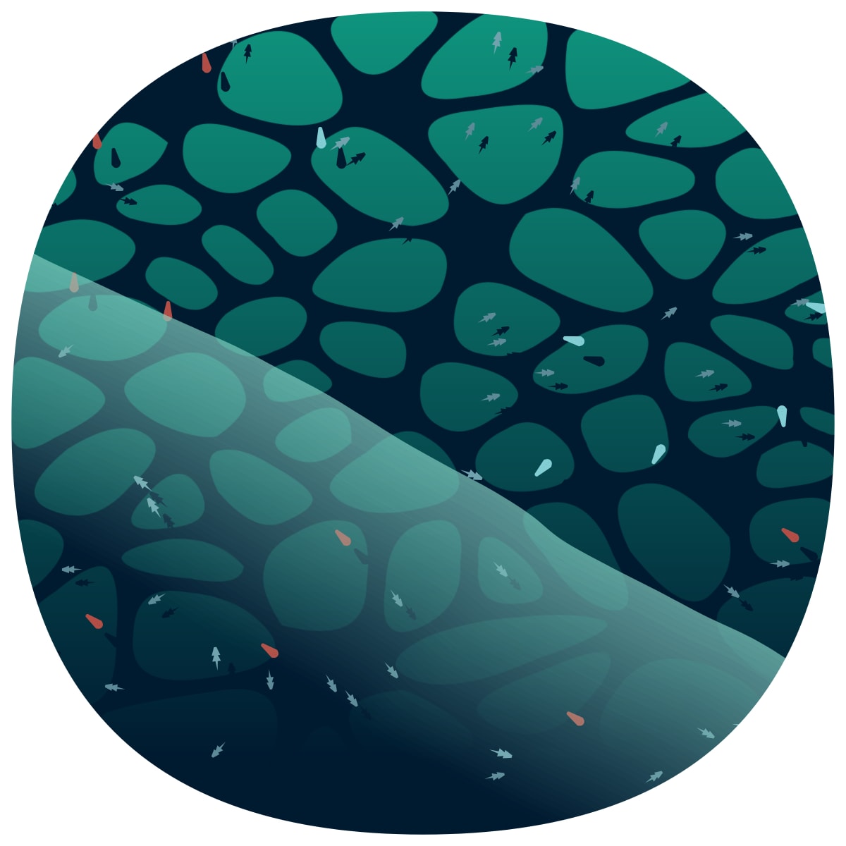 video placeholder image