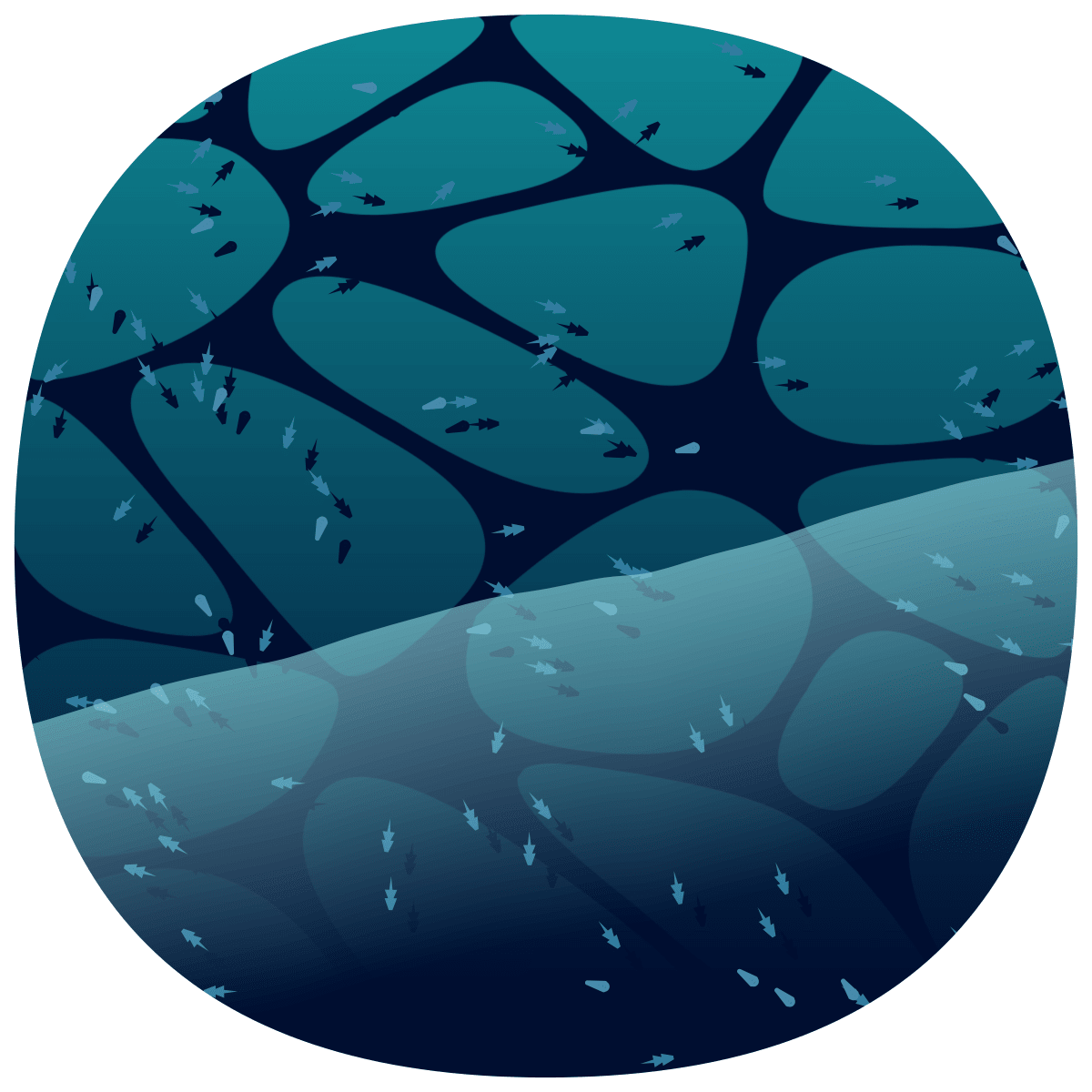 video placeholder image