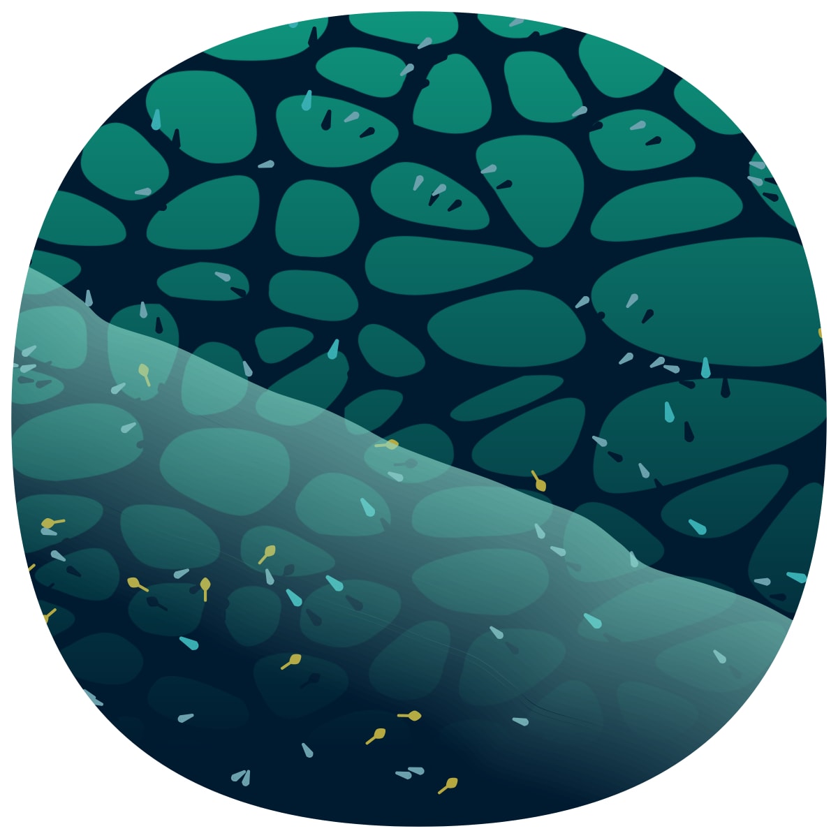 video placeholder image