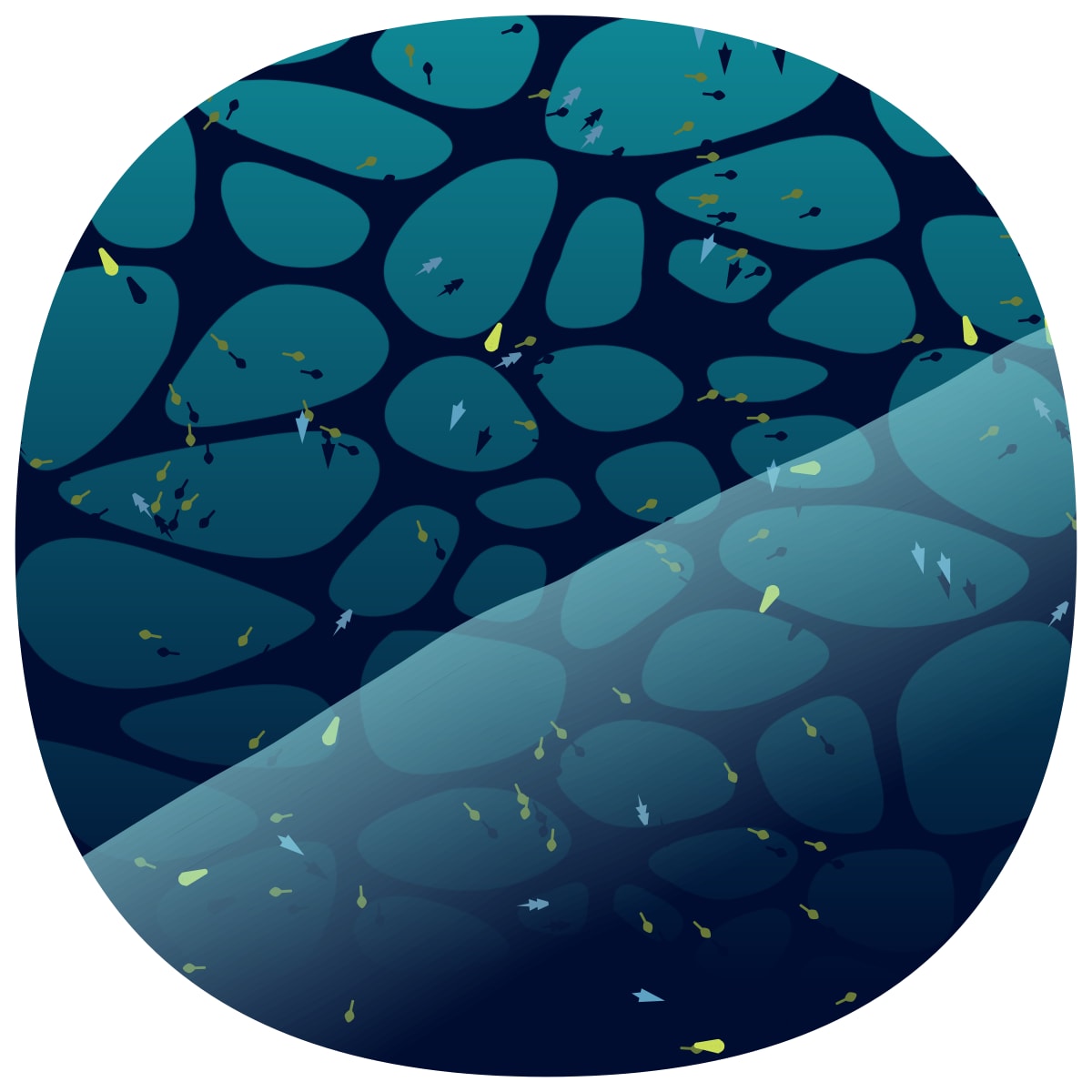 video placeholder image