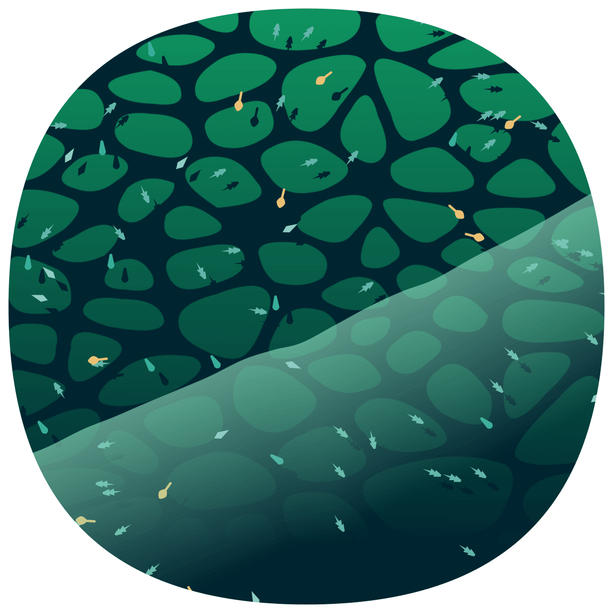video placeholder image