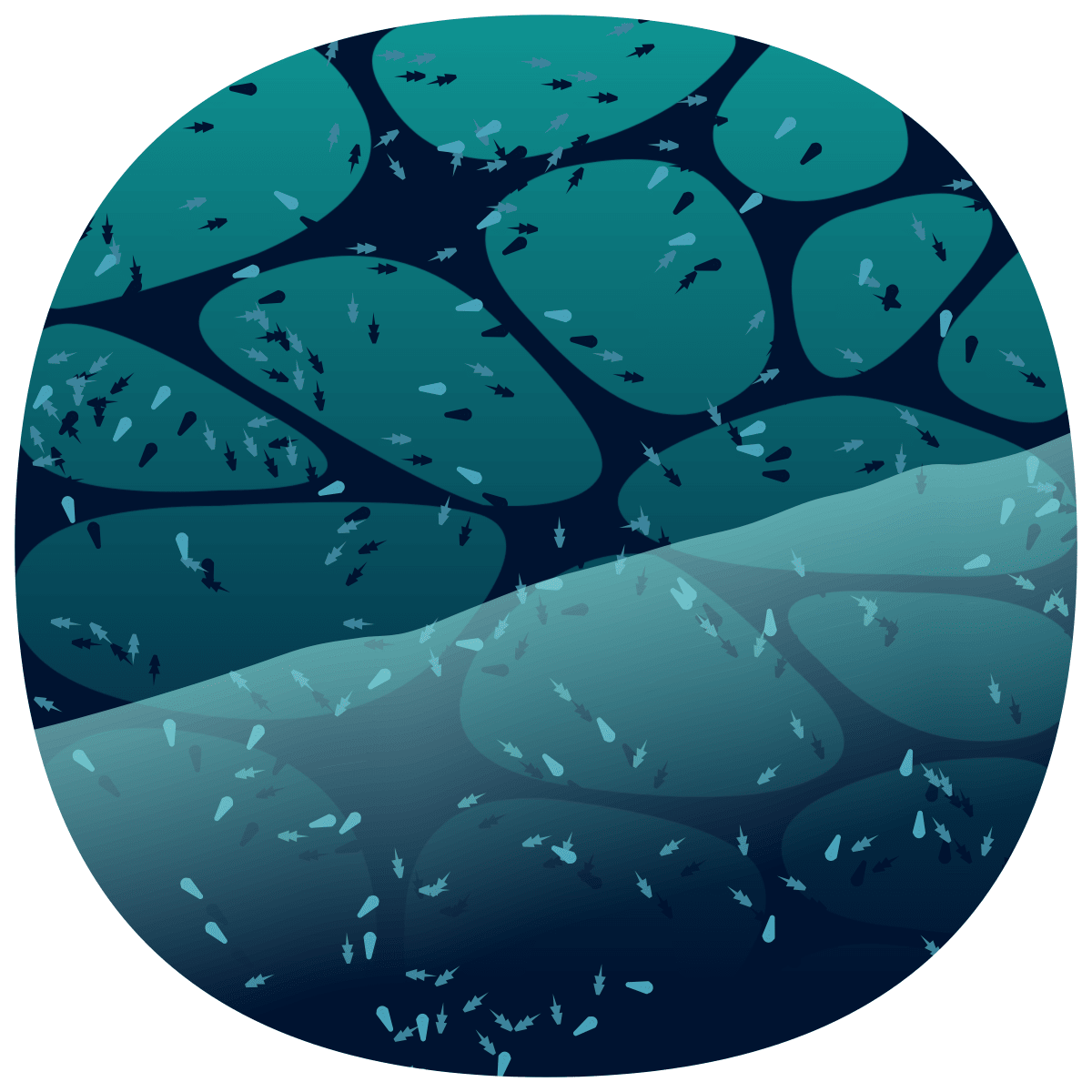 video placeholder image