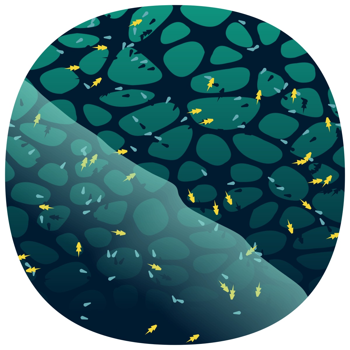 video placeholder image