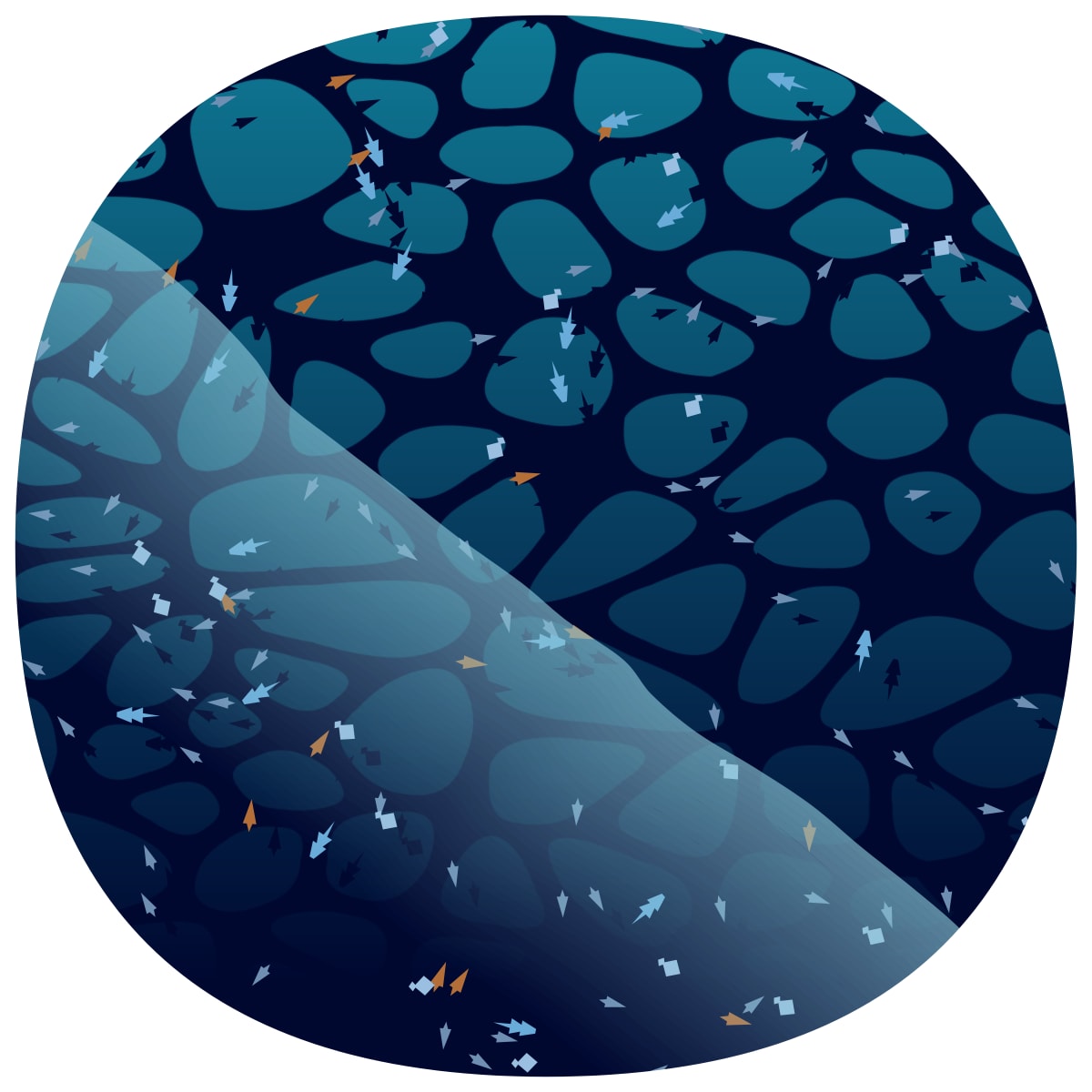 video placeholder image