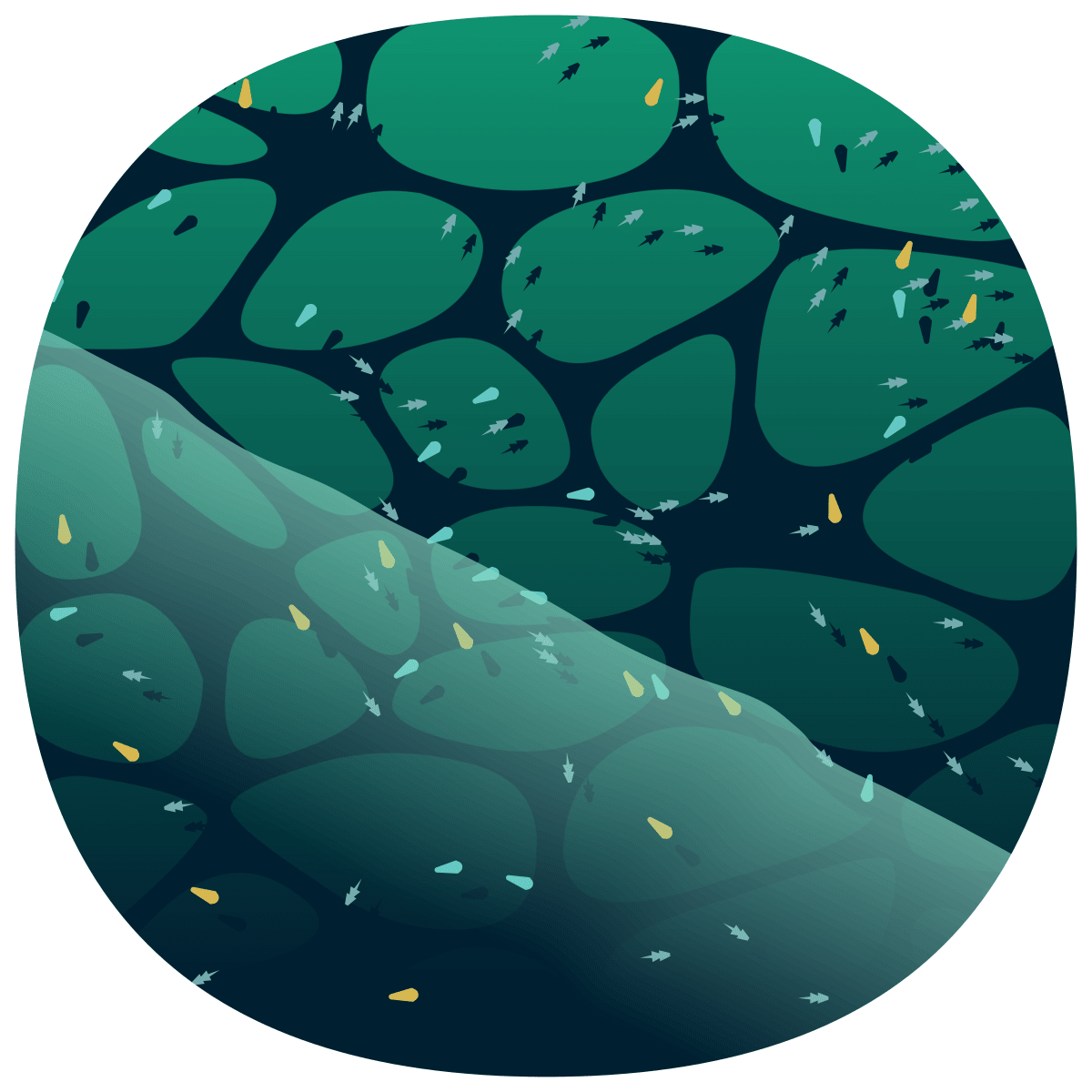 video placeholder image