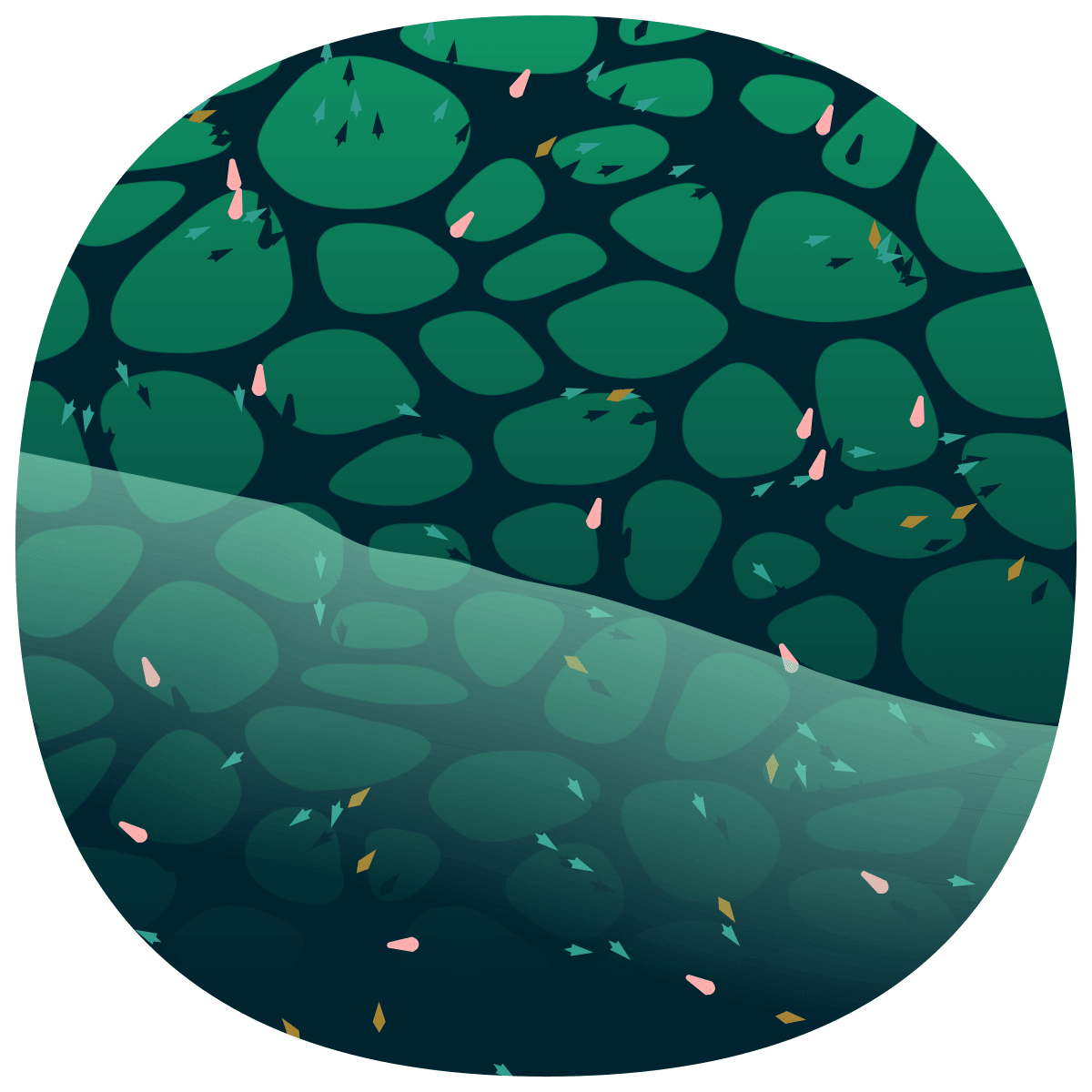video placeholder image