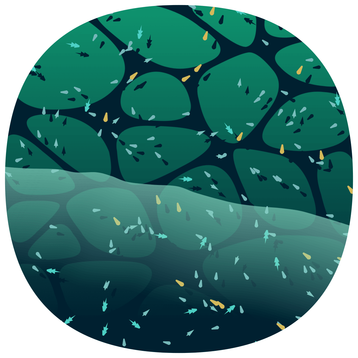 video placeholder image