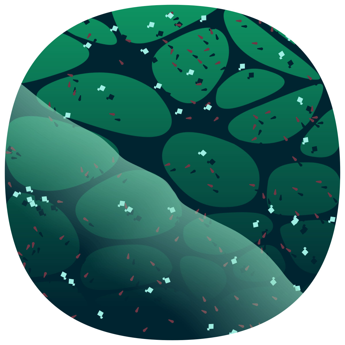 video placeholder image