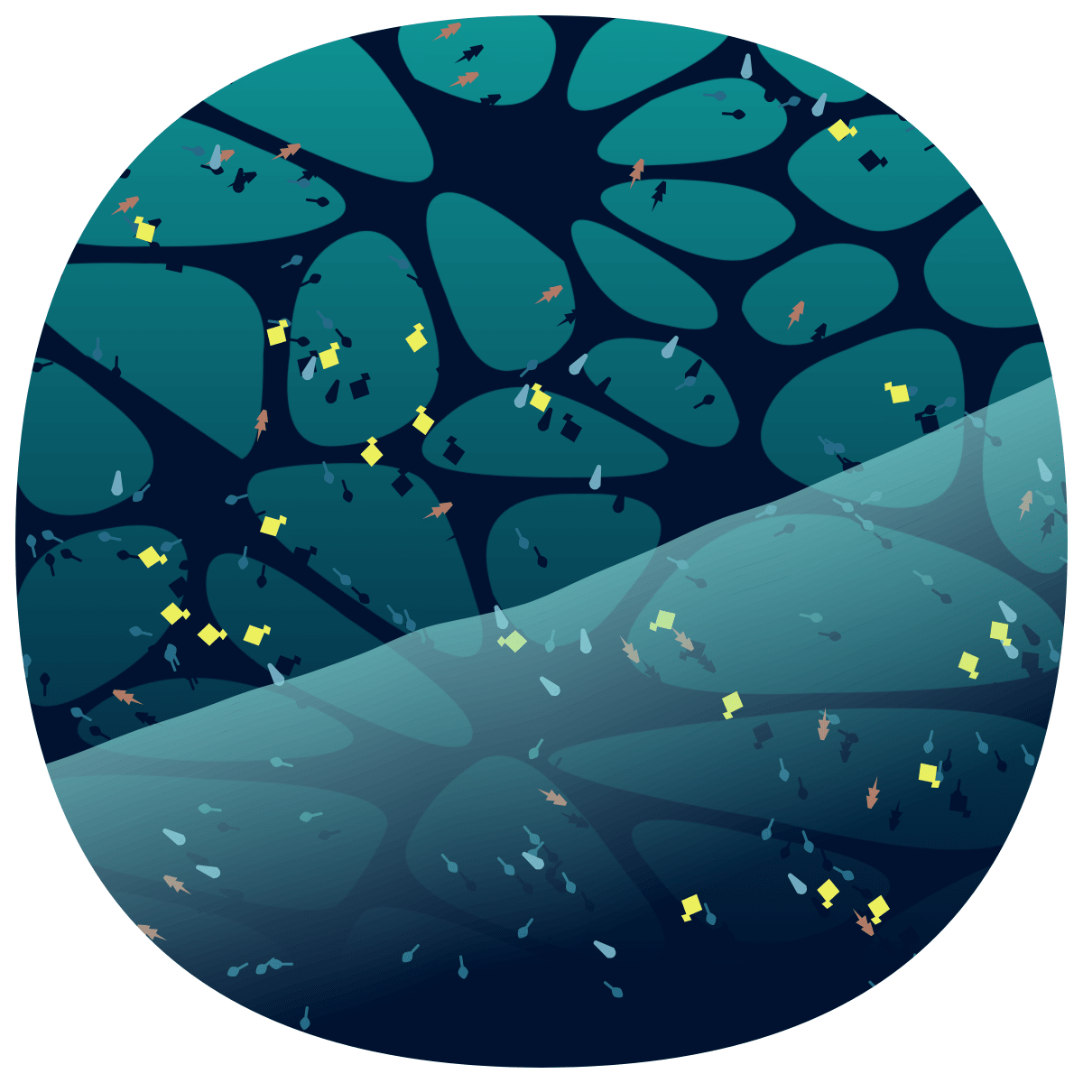 video placeholder image