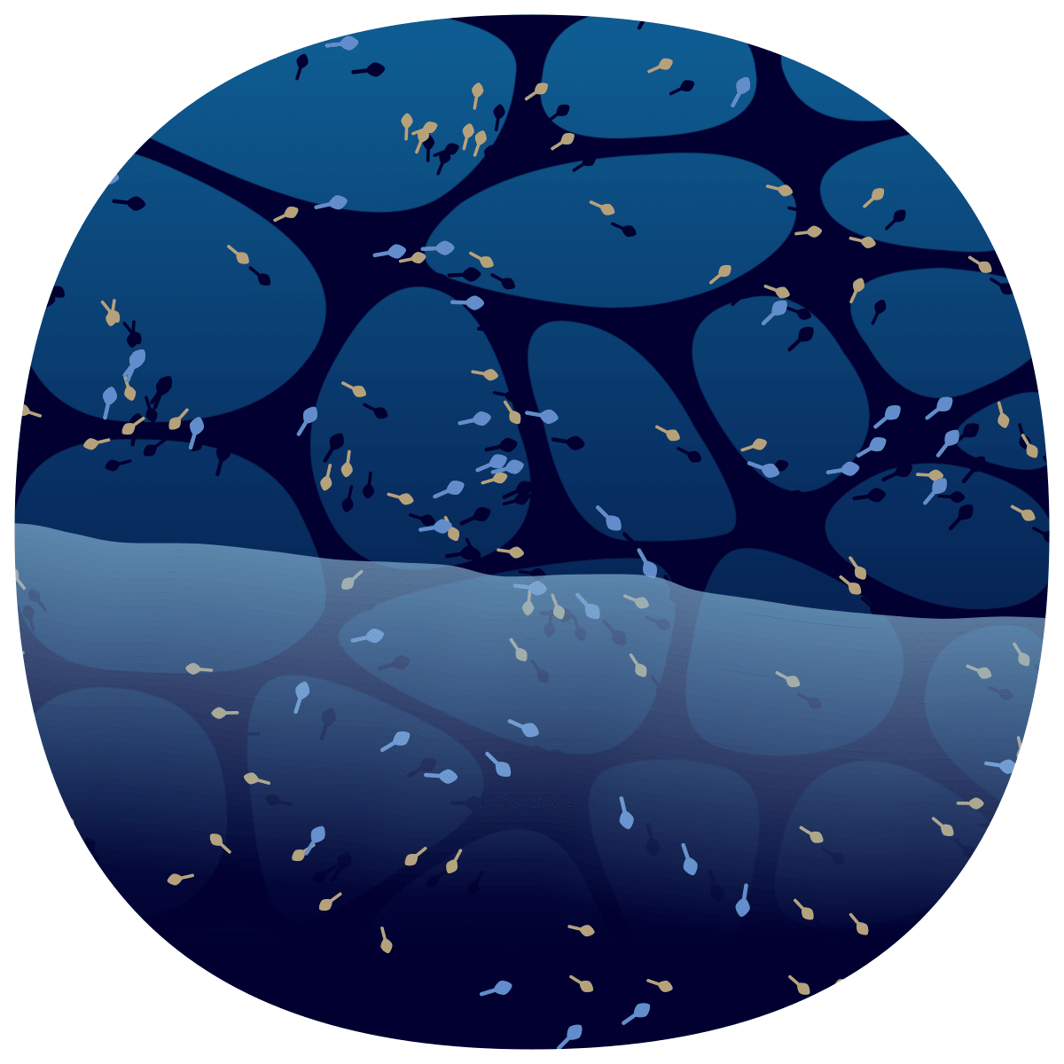 video placeholder image