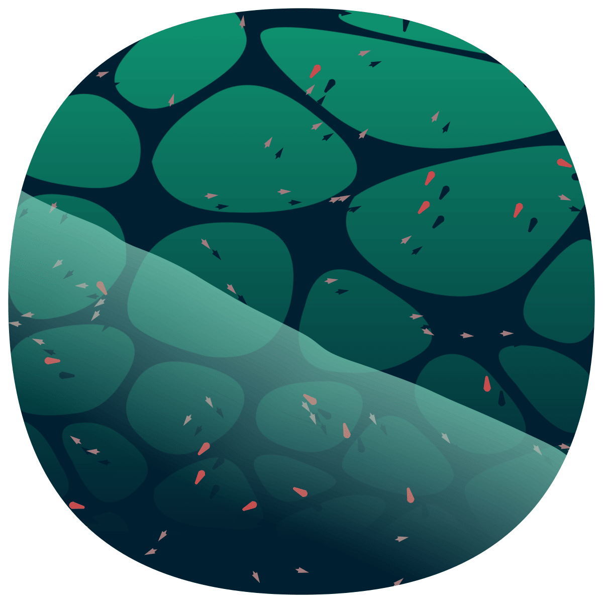 video placeholder image