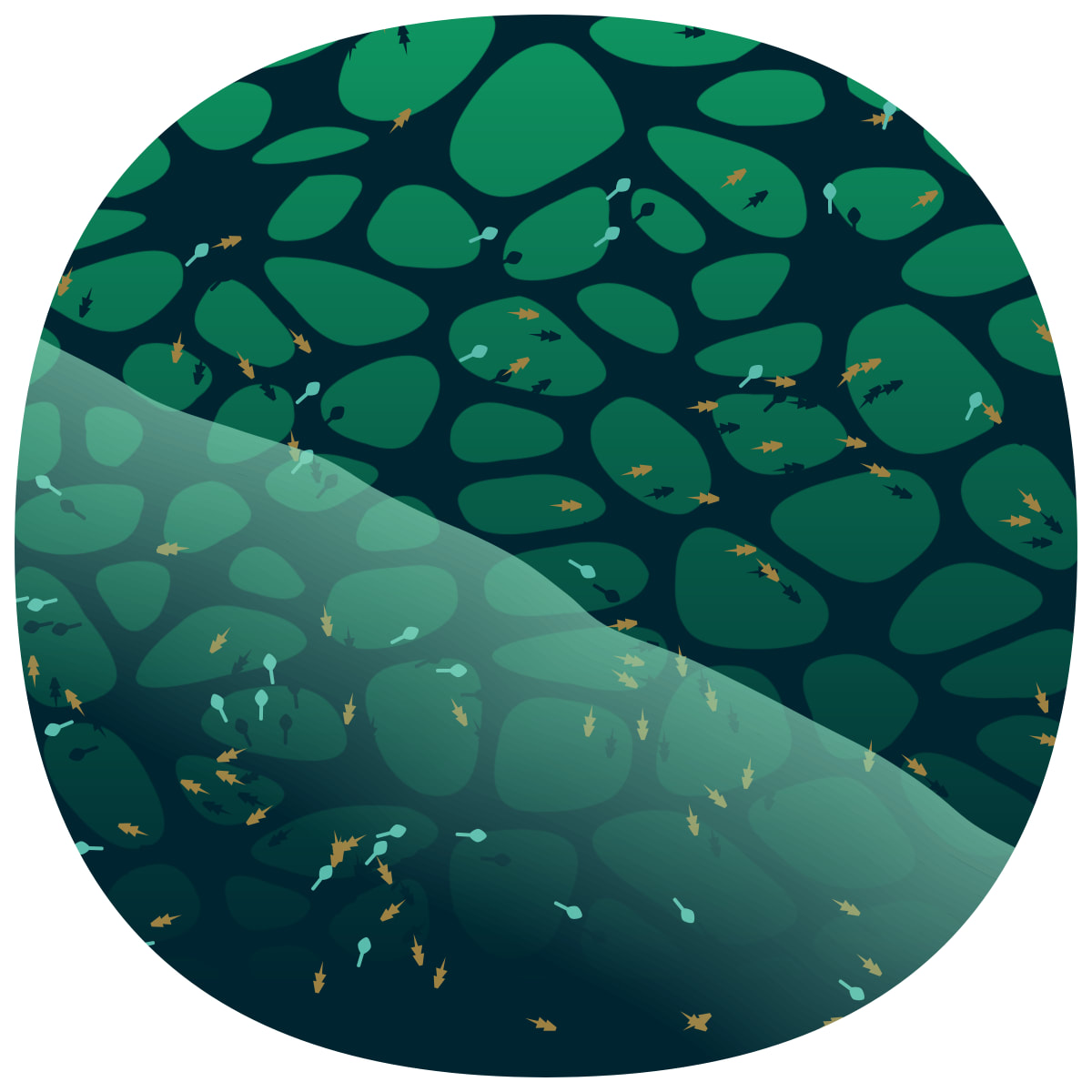 video placeholder image