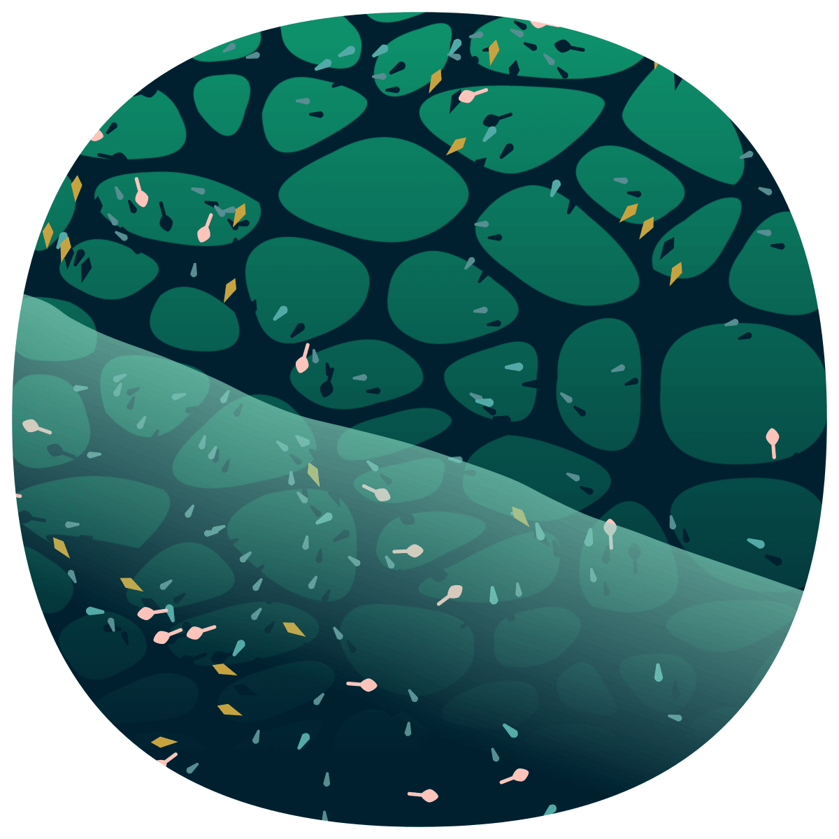 video placeholder image