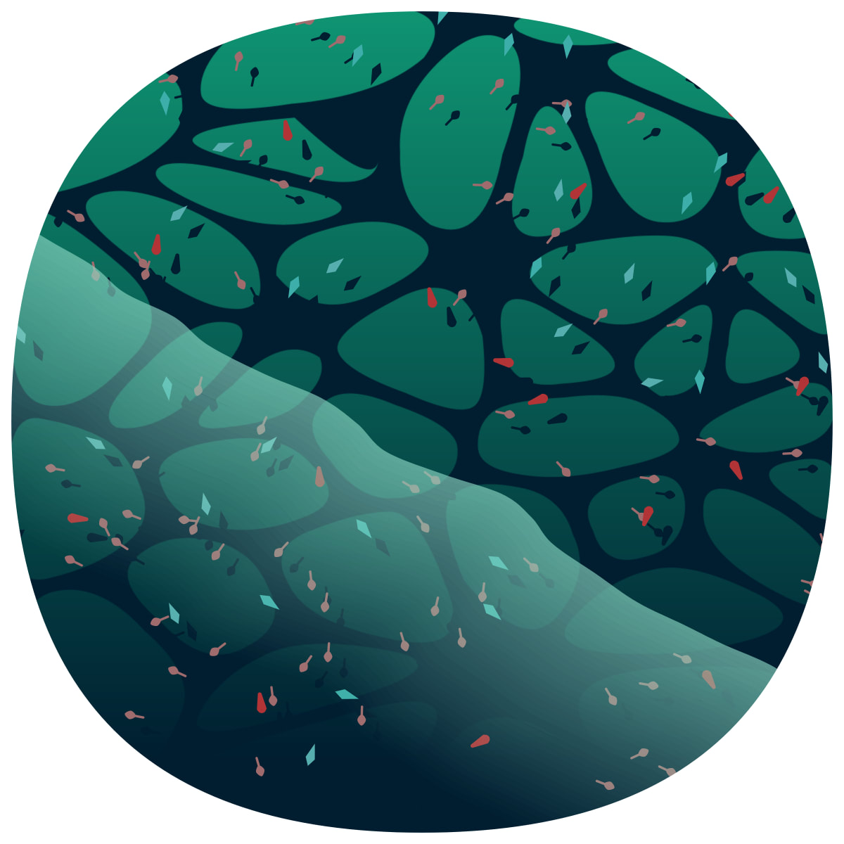 video placeholder image