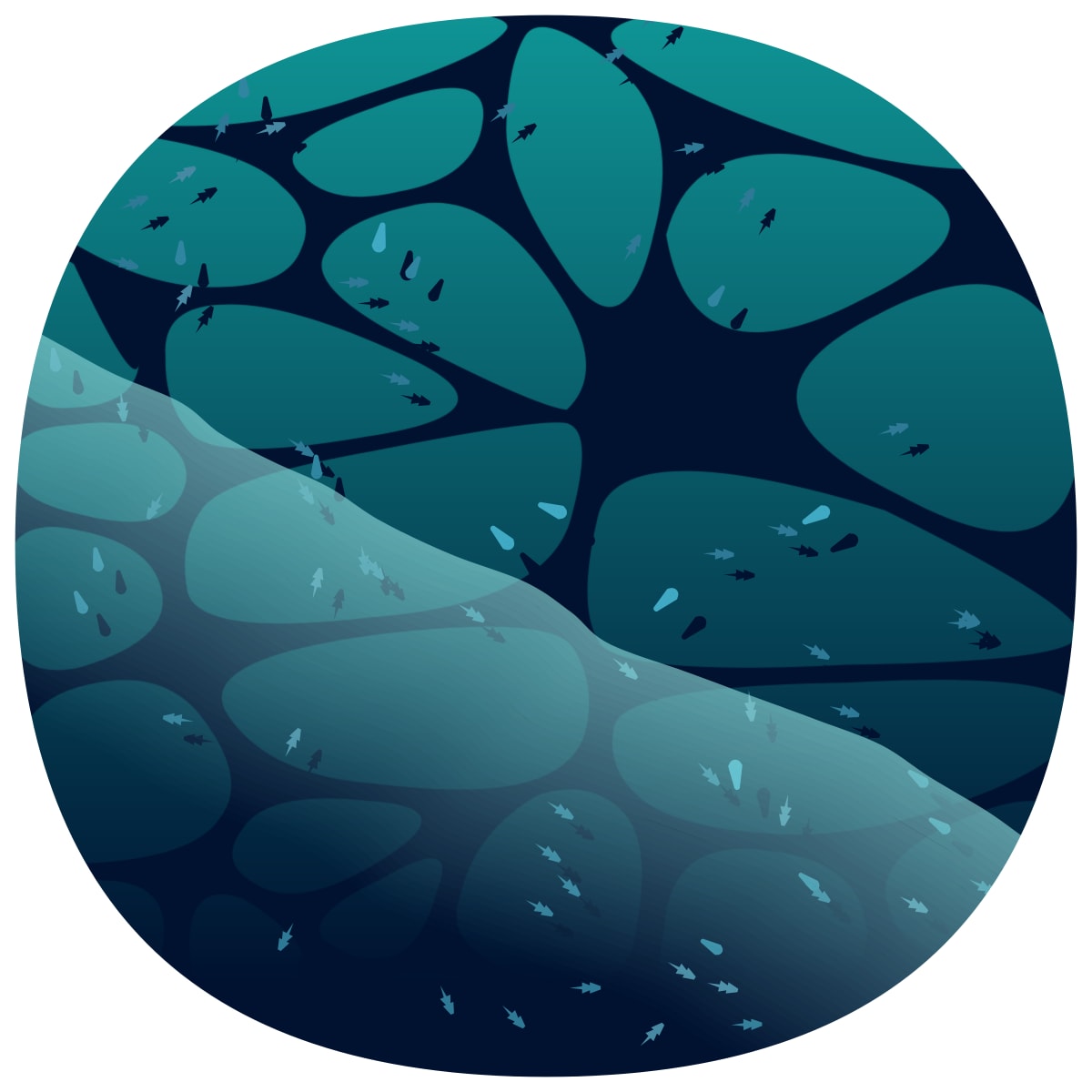 video placeholder image