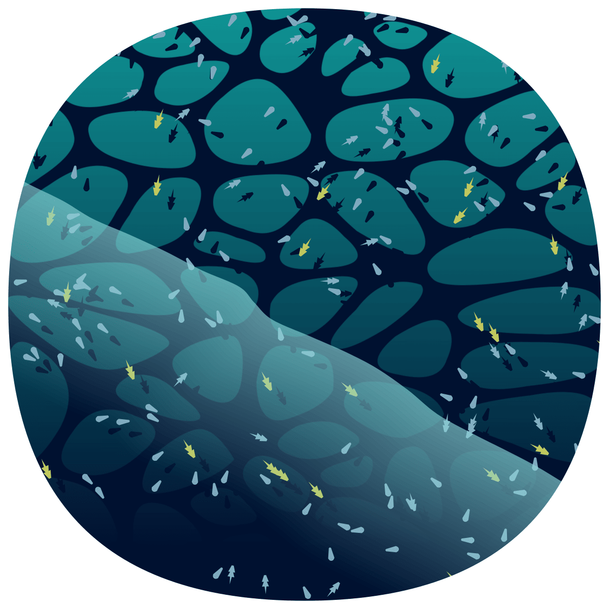 video placeholder image