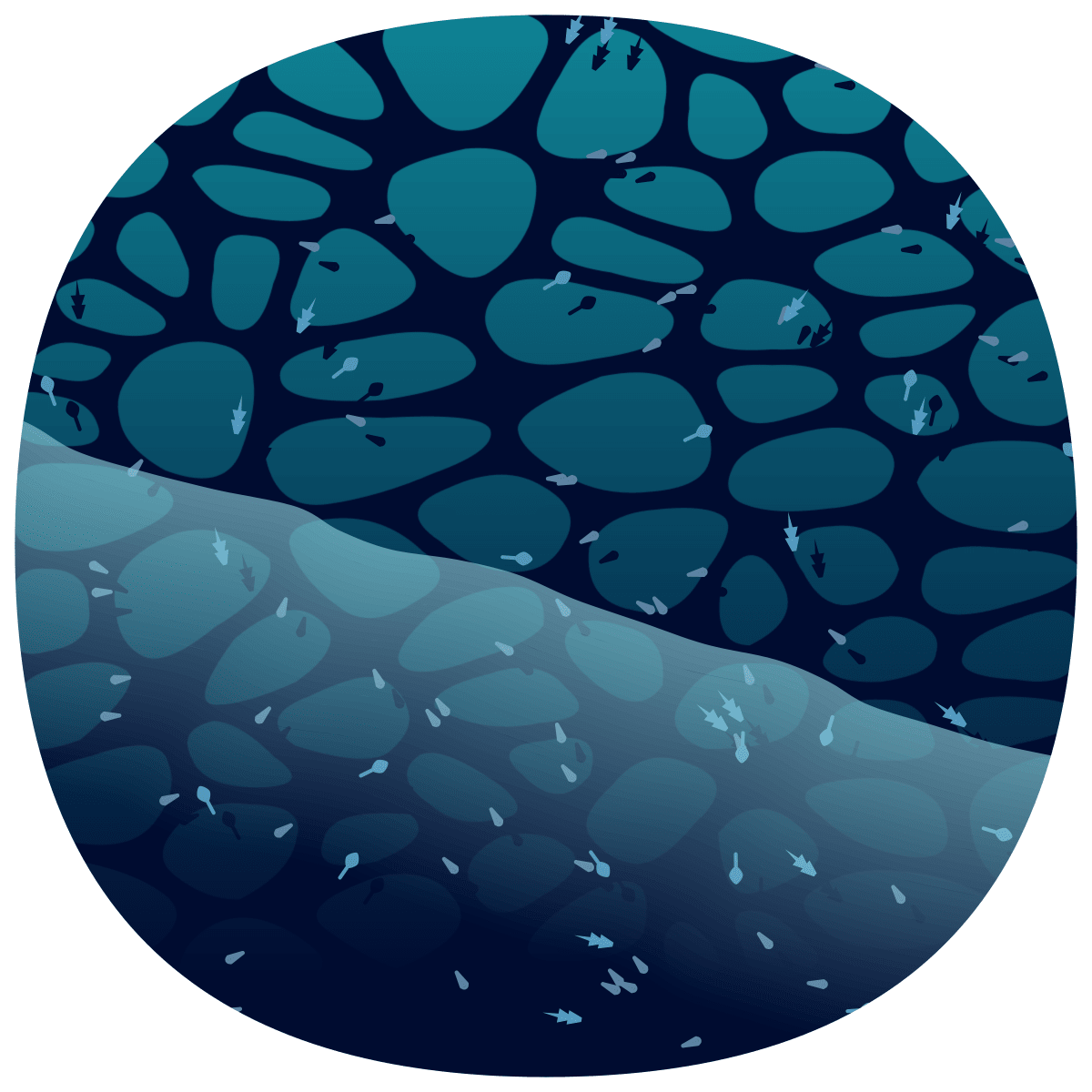 video placeholder image