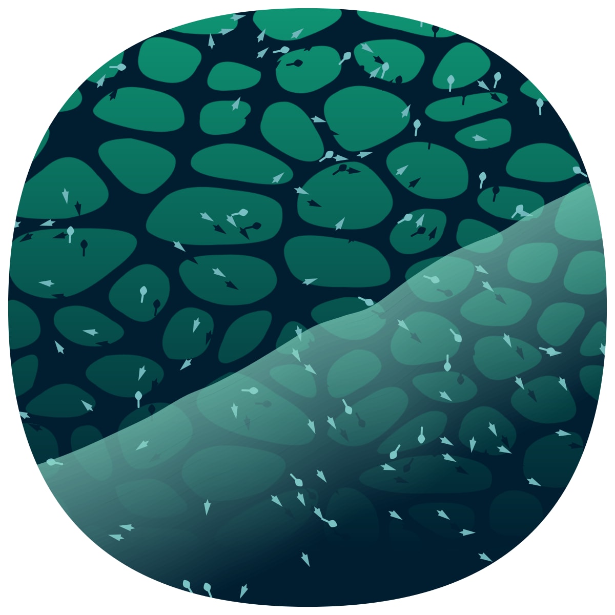 video placeholder image
